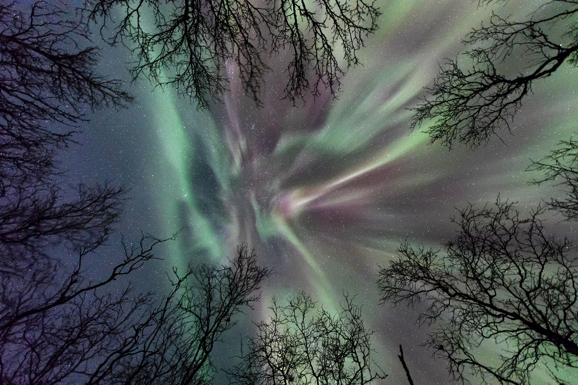 Abisko: Guided Autumn Aurora Chase with Hotel Transfers – Abisko National Park, Sweden