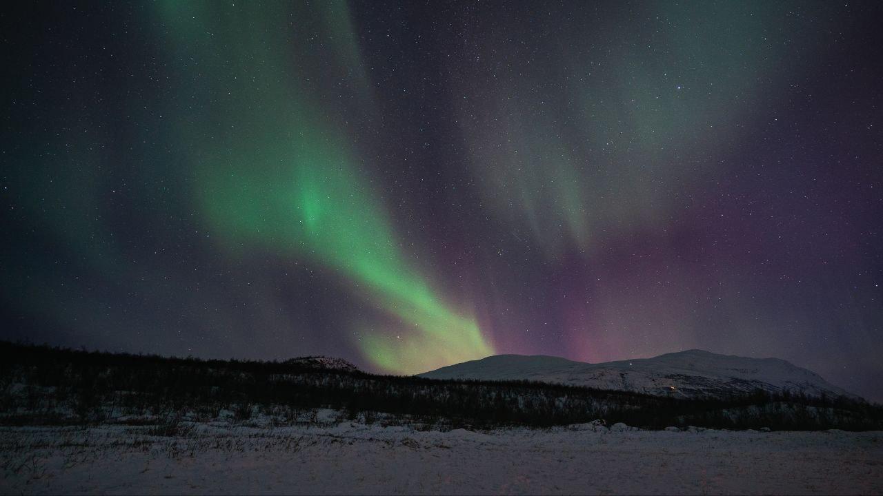 Abisko: Northern Lights Hike with Husky Puppies – Abisko, Sweden