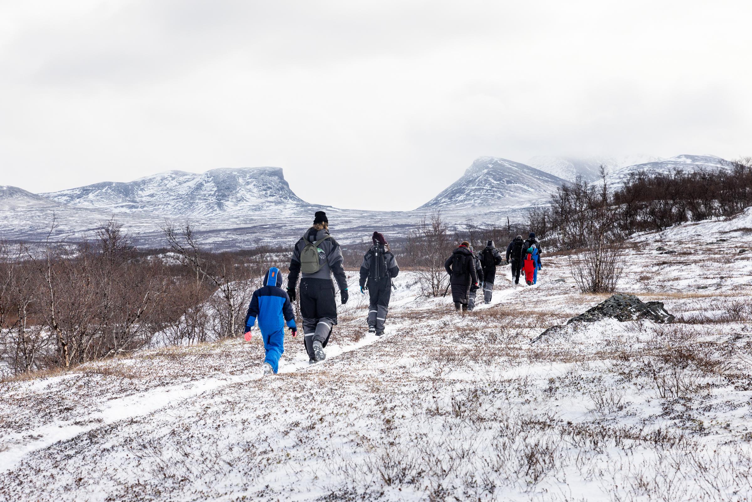 Abisko: Private Guided Hike in Abisko National Park – Lake Torneträsk, Sweden