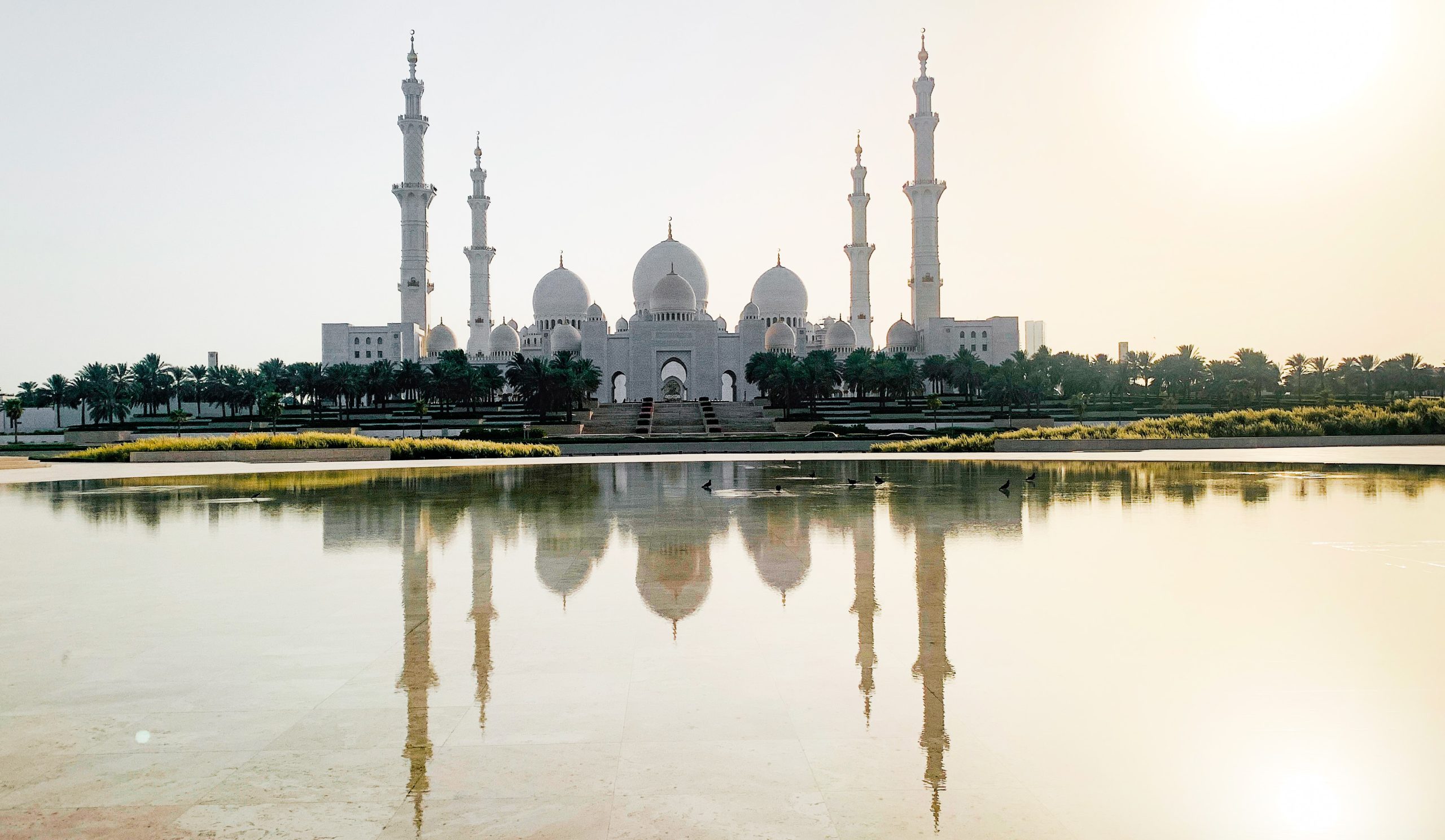 Abu Dhabi: 3-Hour Layover Sightseeing Tour – Abu Dhabi, United Arab Emirates