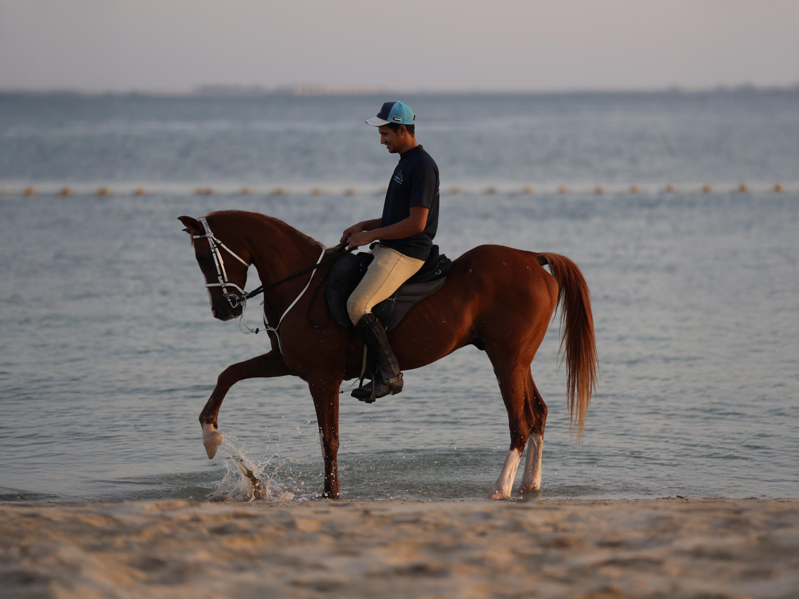 Abu Dhabi: Hudairiyat Island Horse Riding Experiences – Abu Dhabi, United Arab Emirates