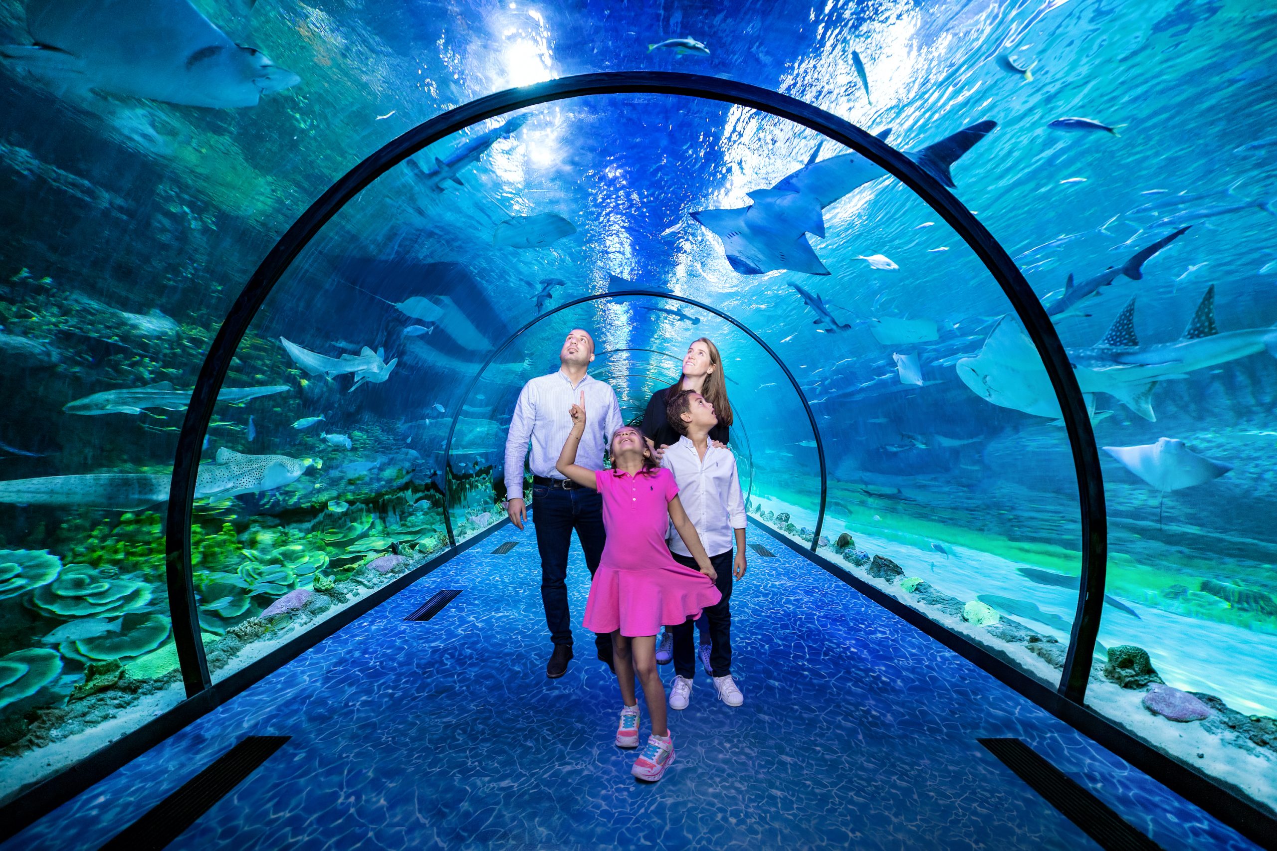 Abu Dhabi: National Aquarium Entrance Ticket – Abu Dhabi, United Arab Emirates