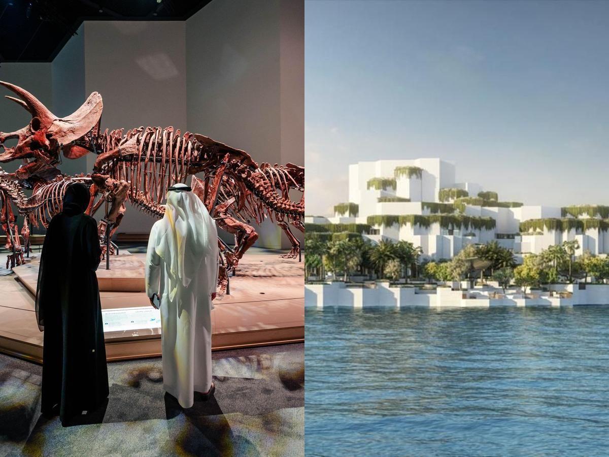 Abu Dhabi: Natural History Museum Entry Ticket – Abu Dhabi, United Arab Emirates