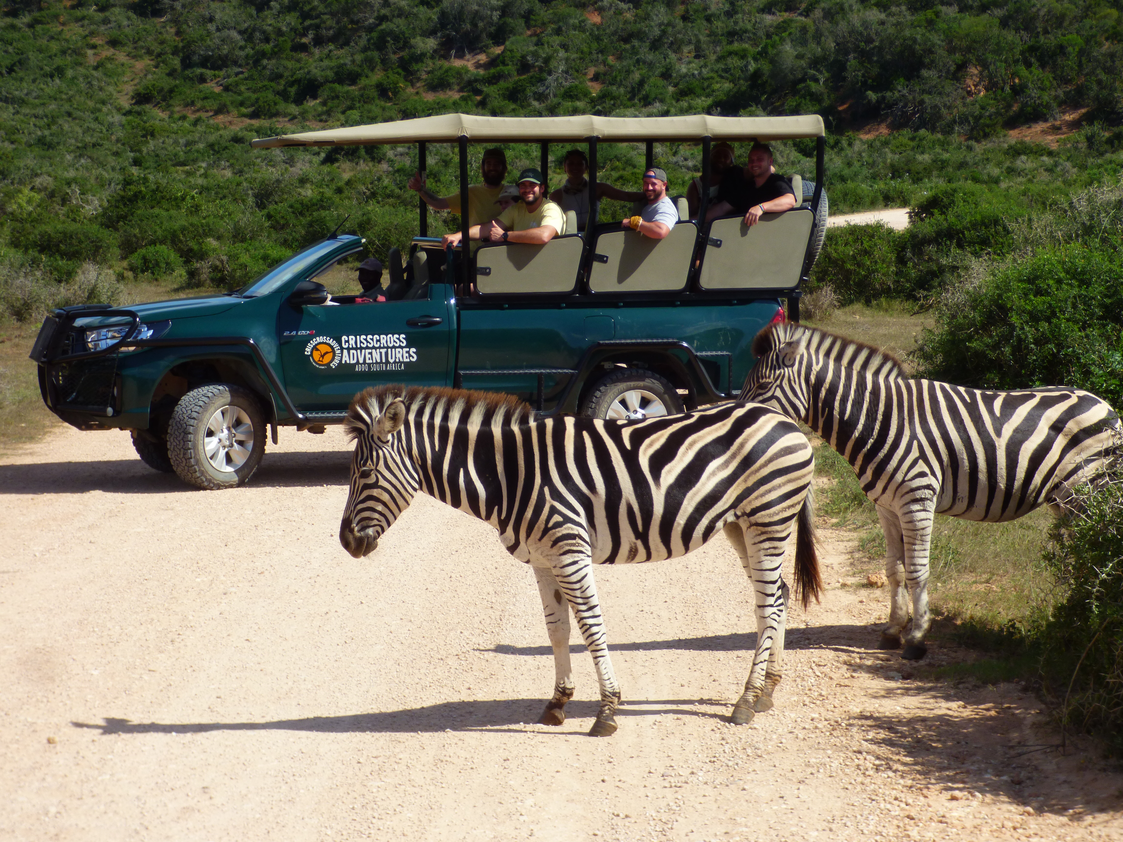 Addo Elephant National Park: Guided Half-Day Safari – Addo Elephant National Park, South Africa