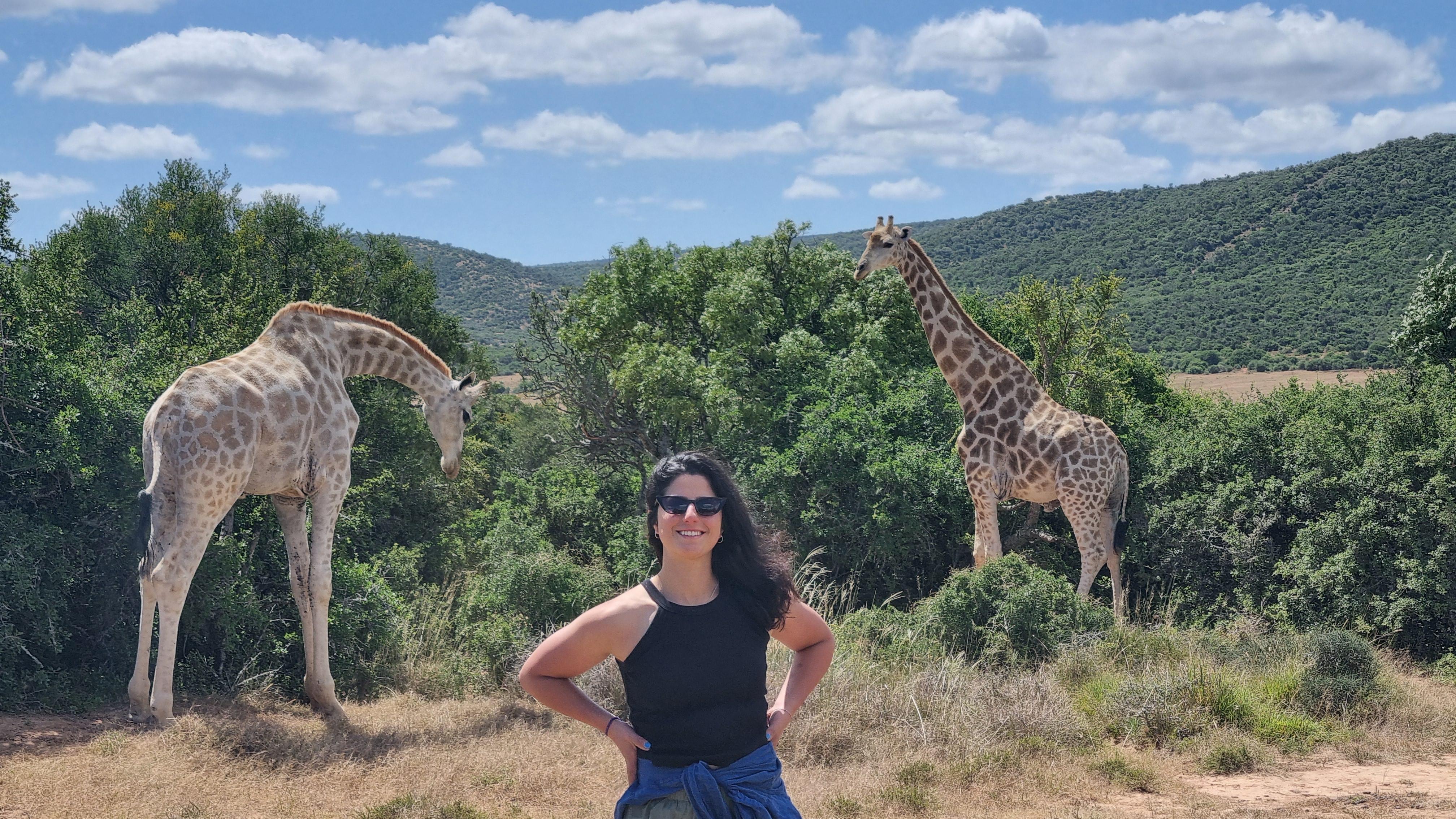 Addo Elephant Park and Giraffe Walk Full Day Safari – Addo Elephant National Park, South Africa