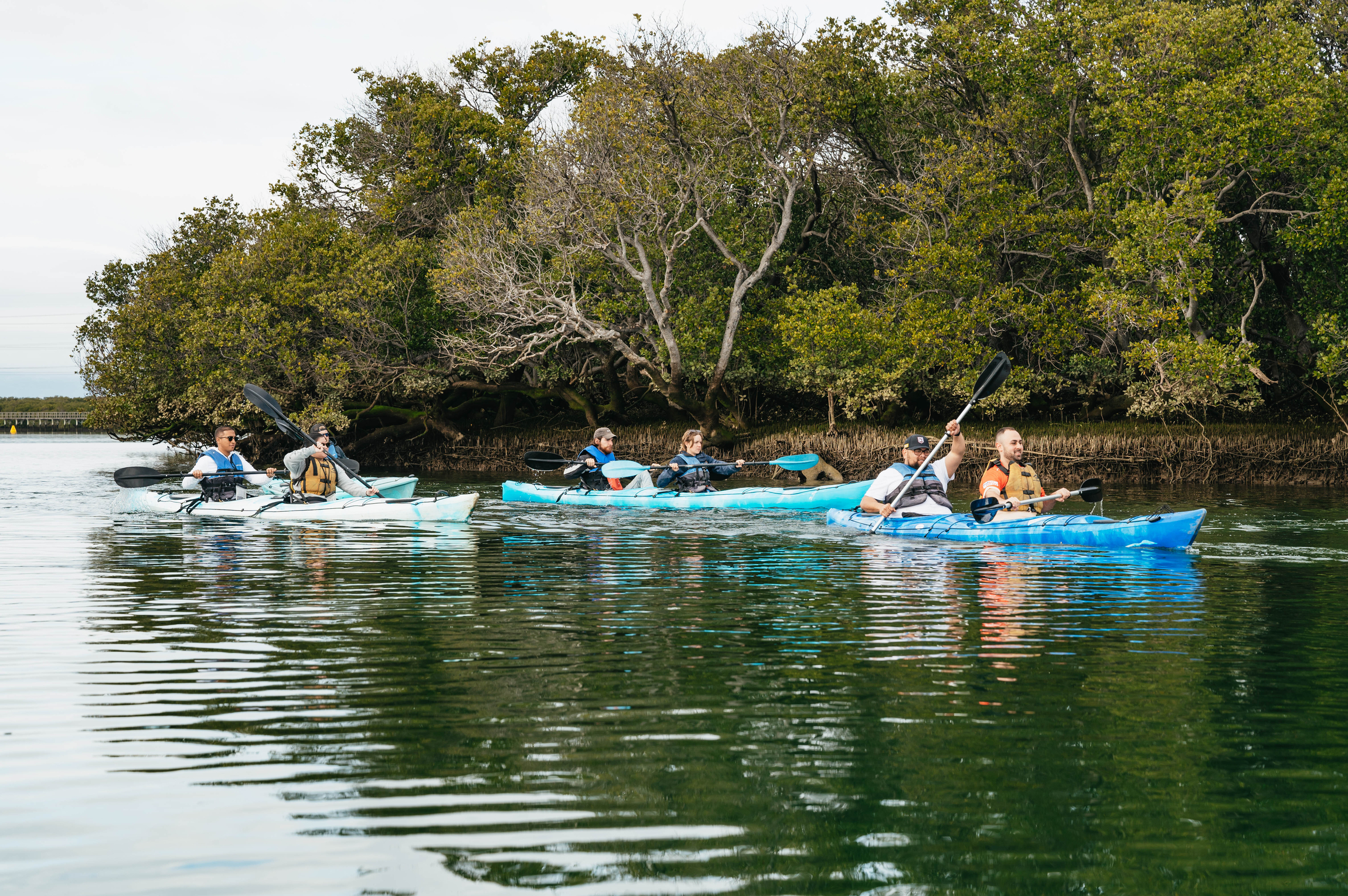 Adelaide: Dolphin Sanctuary Eco Kayaking Tour – Adelaide, Australia