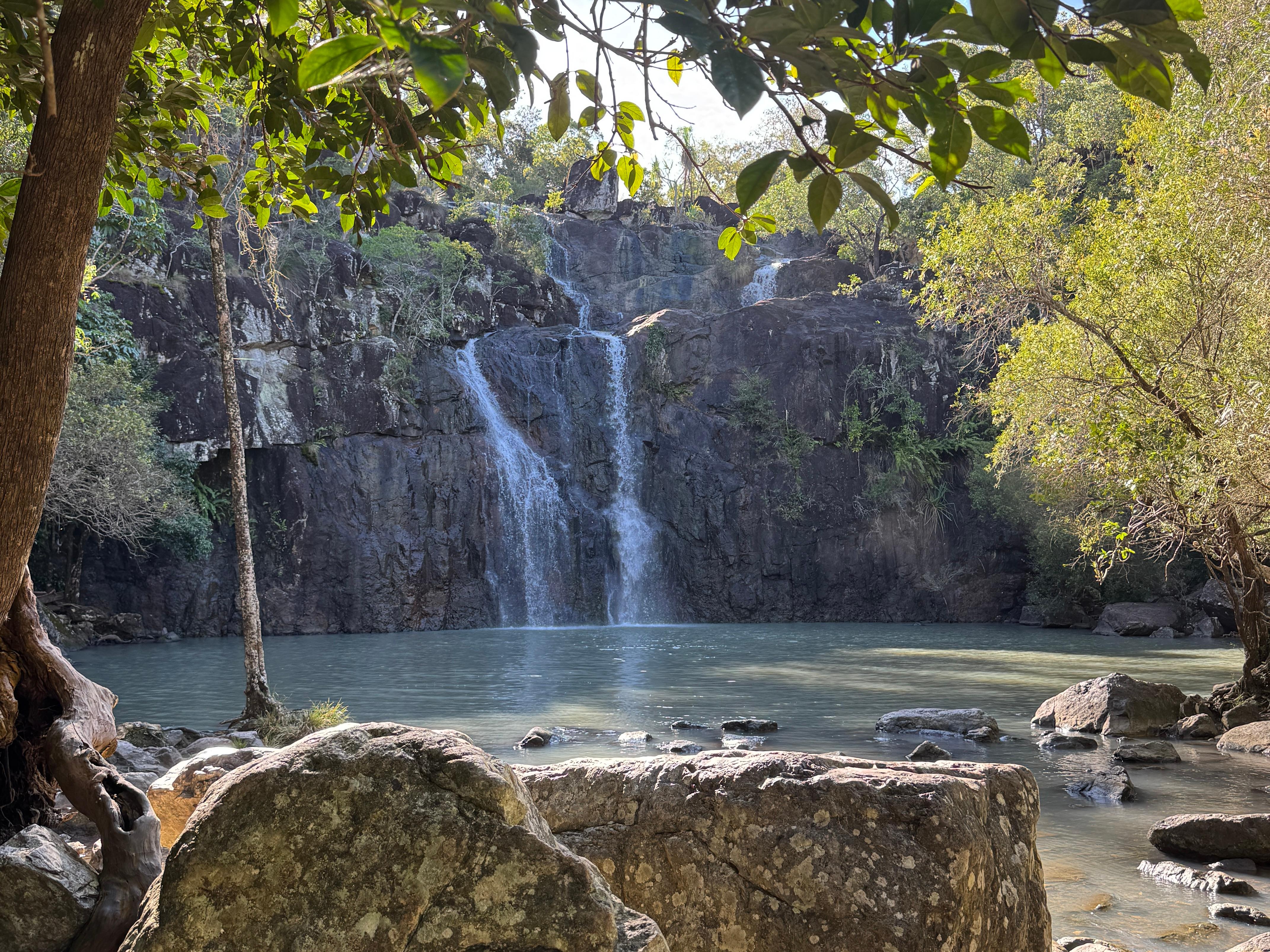 Airlie Beach: Cedar Creek Express Eco Tour – Palm Grove, Australia