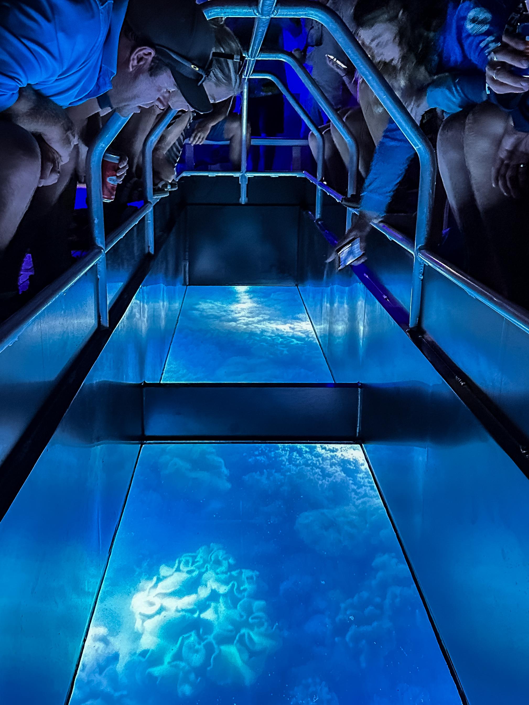 Airlie Beach: Glass-Bottom Boat Night Tour – Shute Harbour, Australia