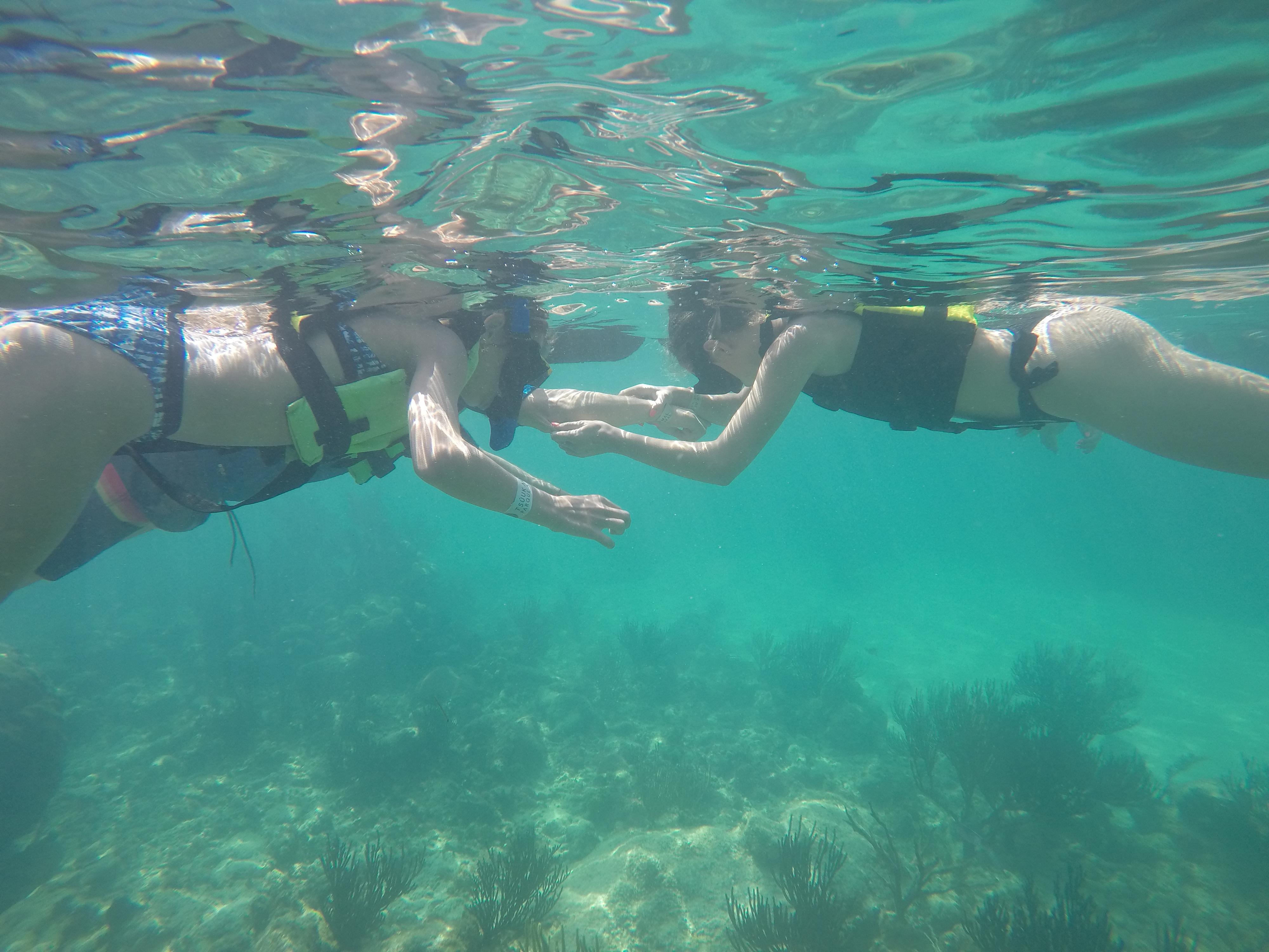 Akumal Beach: Swim with turtles in their natural habitat. – Akumal, Mexico