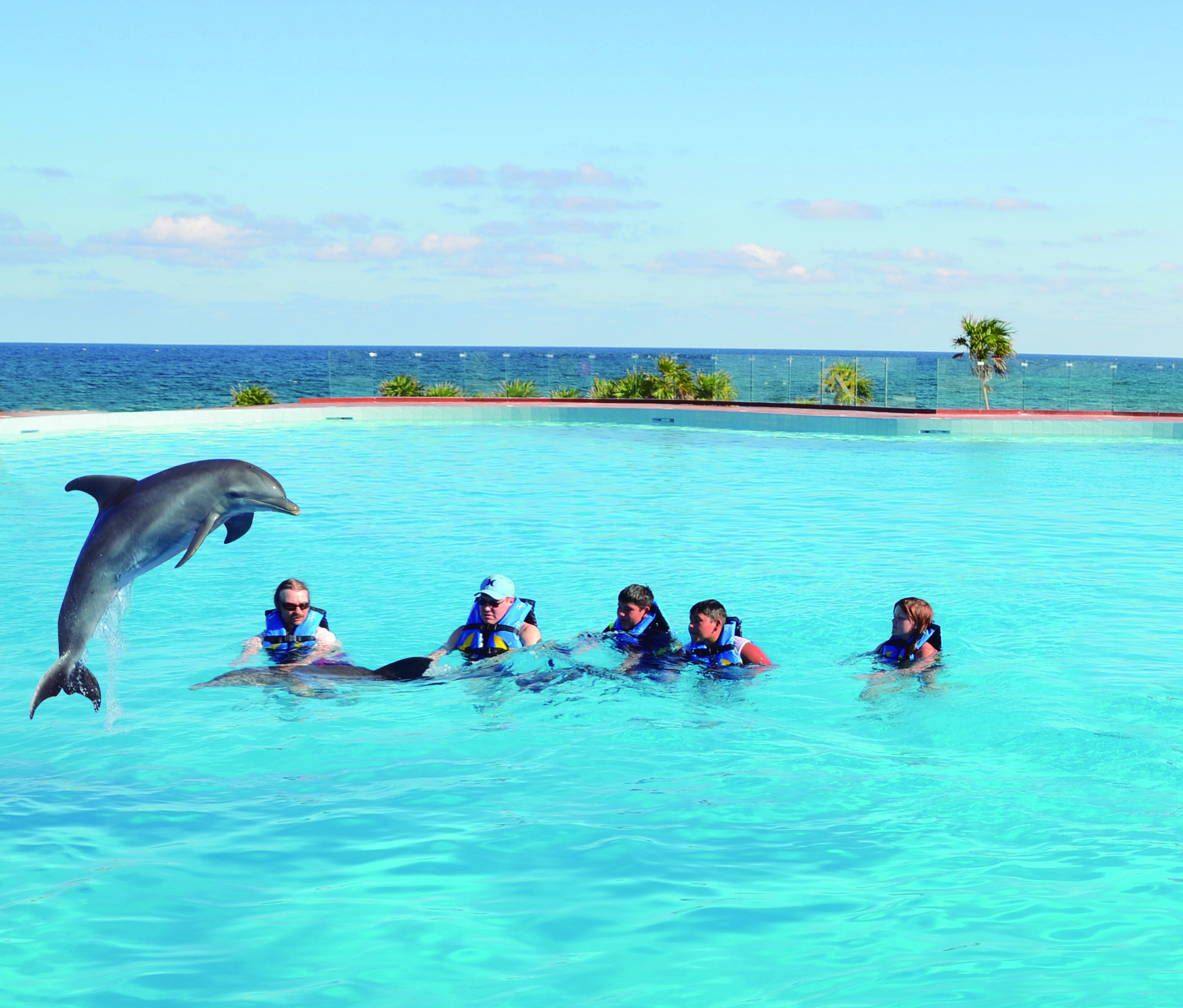 Akumal: Dolphin Encounter – Akumal, Mexico
