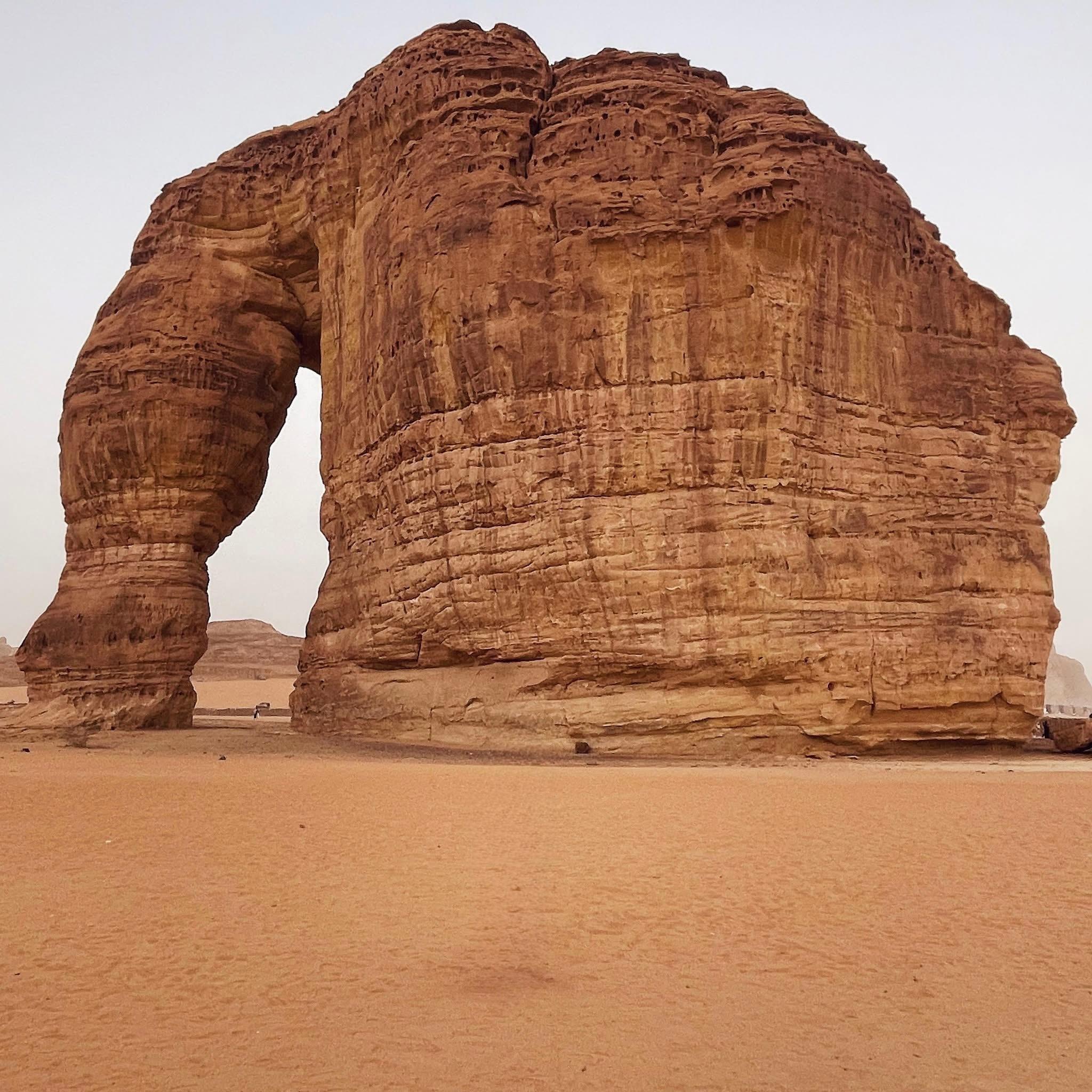 Al-Ula: Hegra, Old Town, and Rock Elephant walk tour – Saudi Arabia