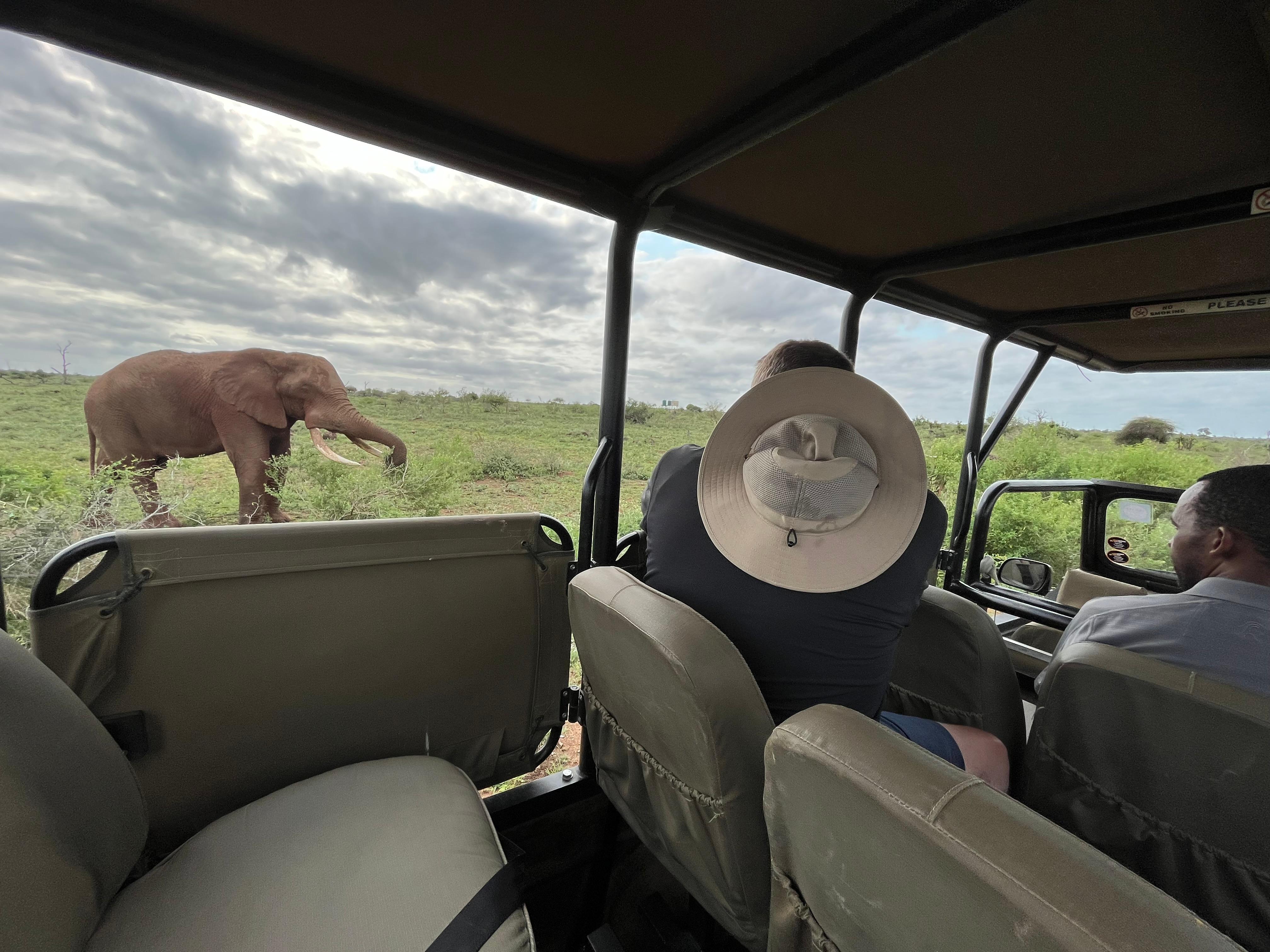 All Inclusive 3 Day Kruger Safari from Johannesburg – Johannesburg, South Africa
