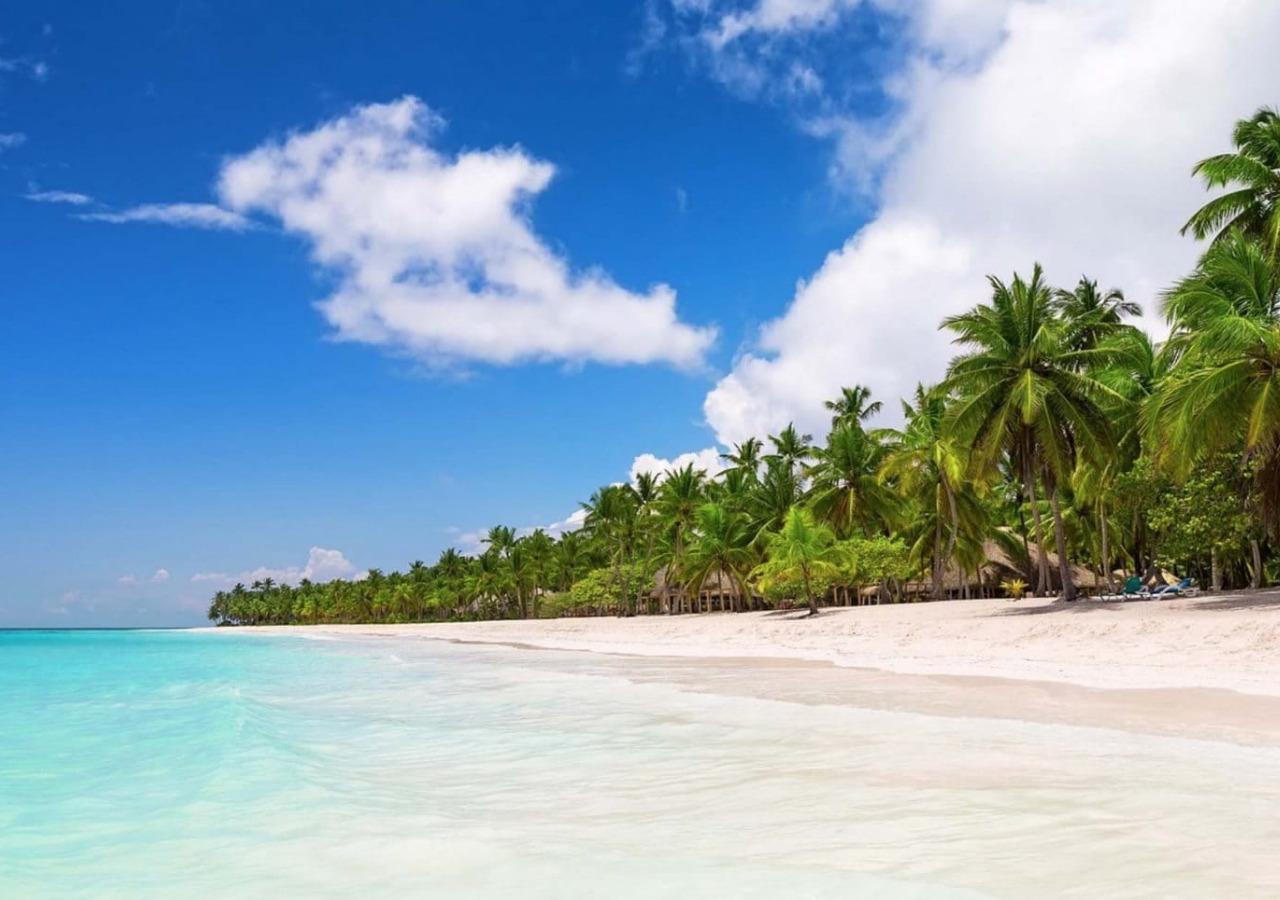 All-Inclusive Excursion to Saona Island from Punta Cana: Lunch and Open Bar – Punta Cana, Dominican Republic