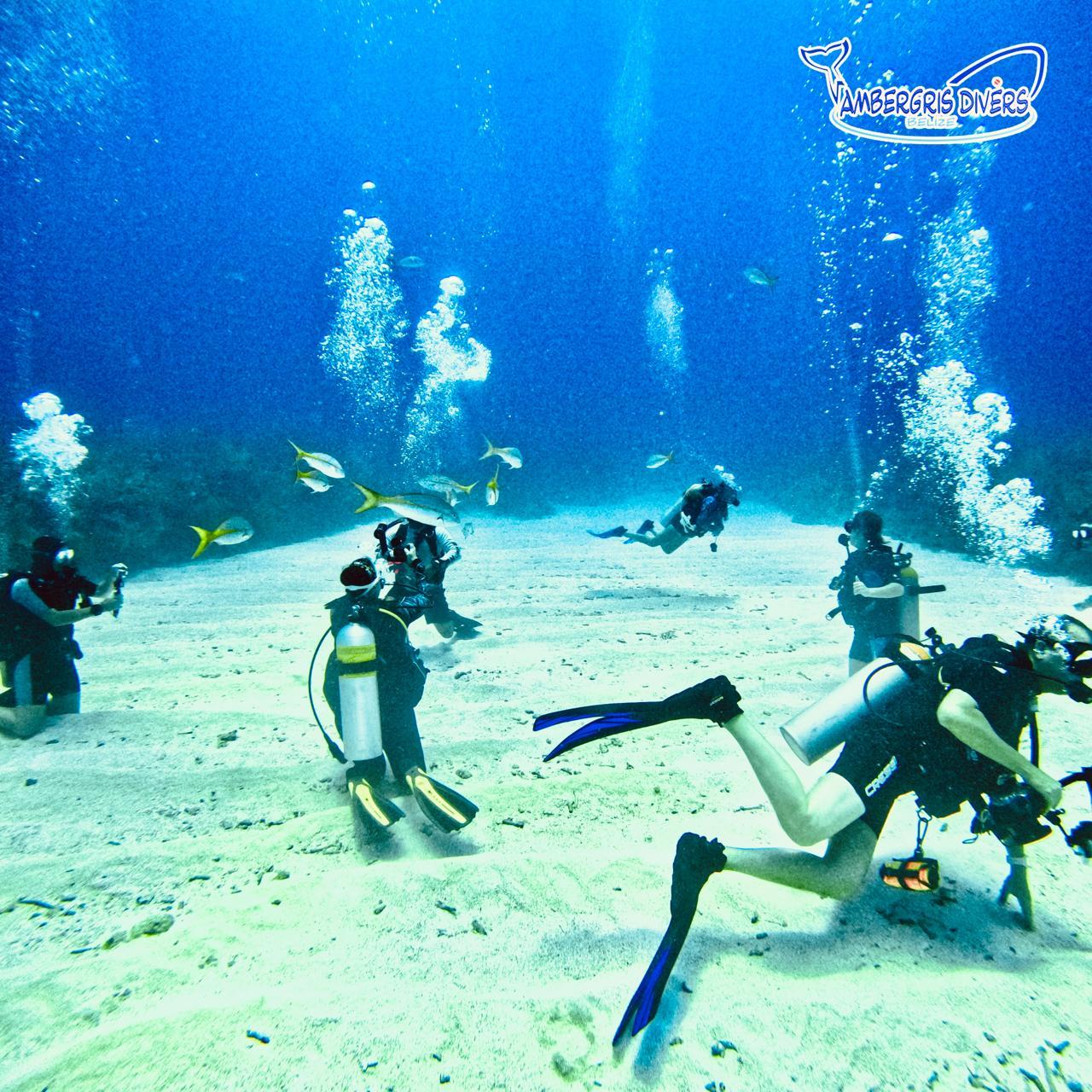 Ambergris Caye: Discover Scuba Diving Experience – San Pedro, Belize