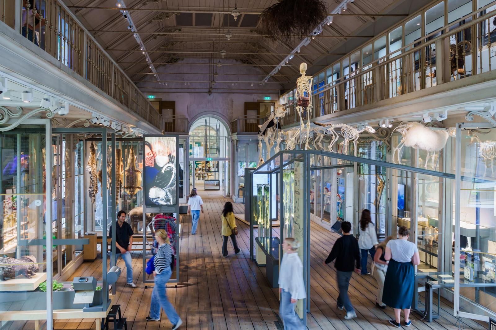 Amsterdam: ARTIS-Groote Museum Entry Ticket – Amsterdam, Netherlands