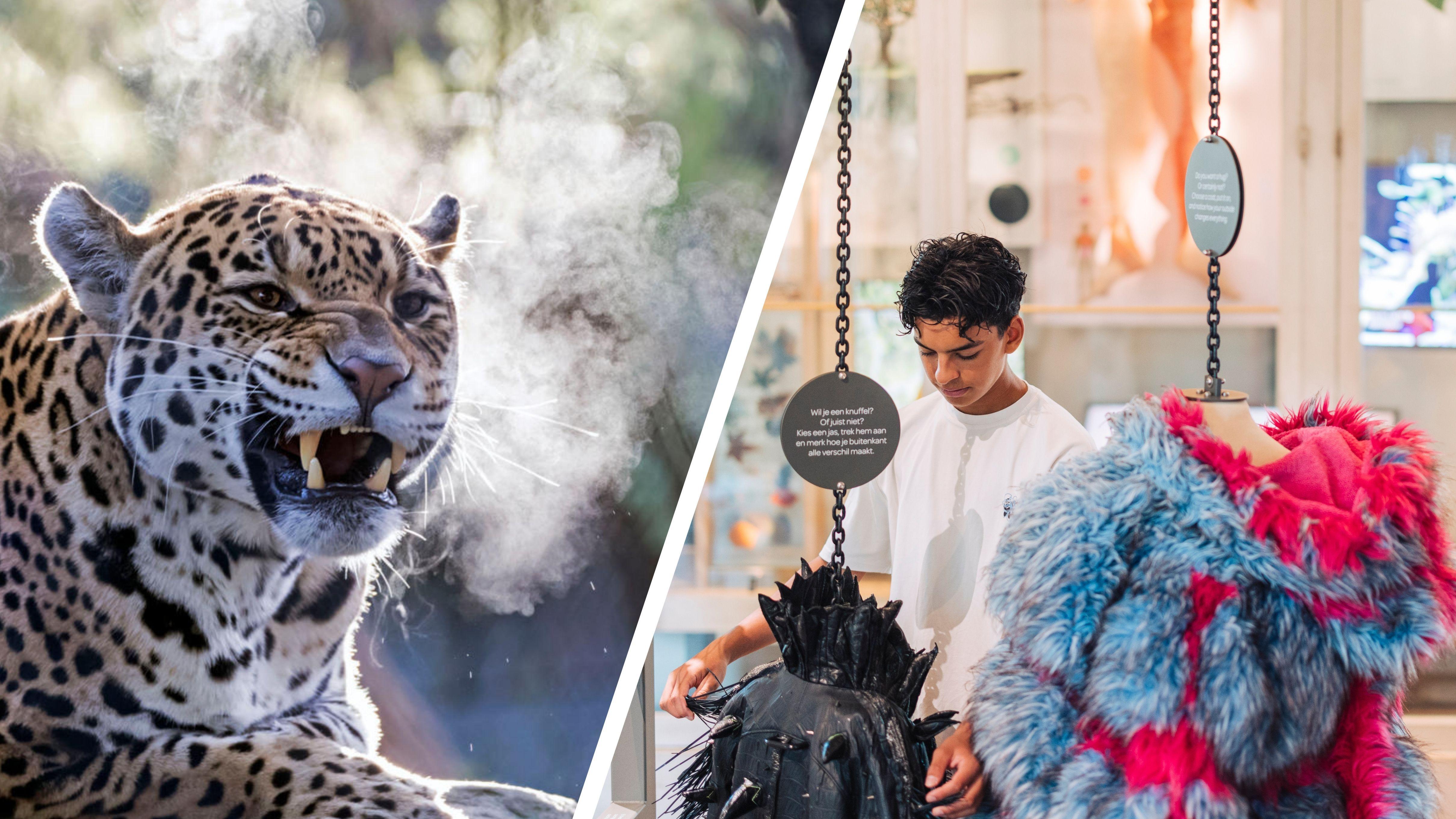 Amsterdam: ARTIS Royal Zoo and ARTIS Groote Museum Ticket – Amsterdam, Netherlands