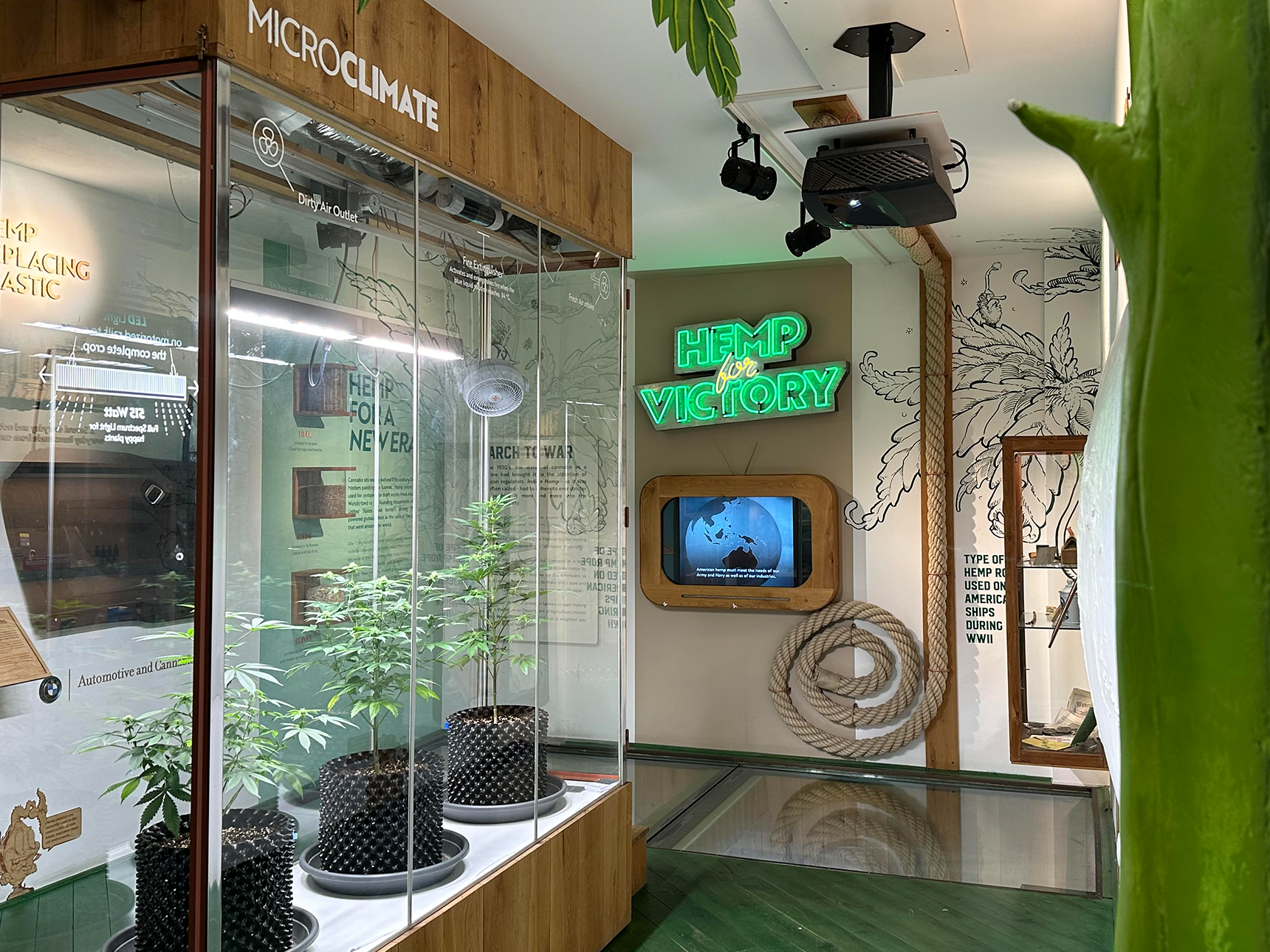 Amsterdam: Cannabis Museum Entry Ticket – Amsterdam, Netherlands
