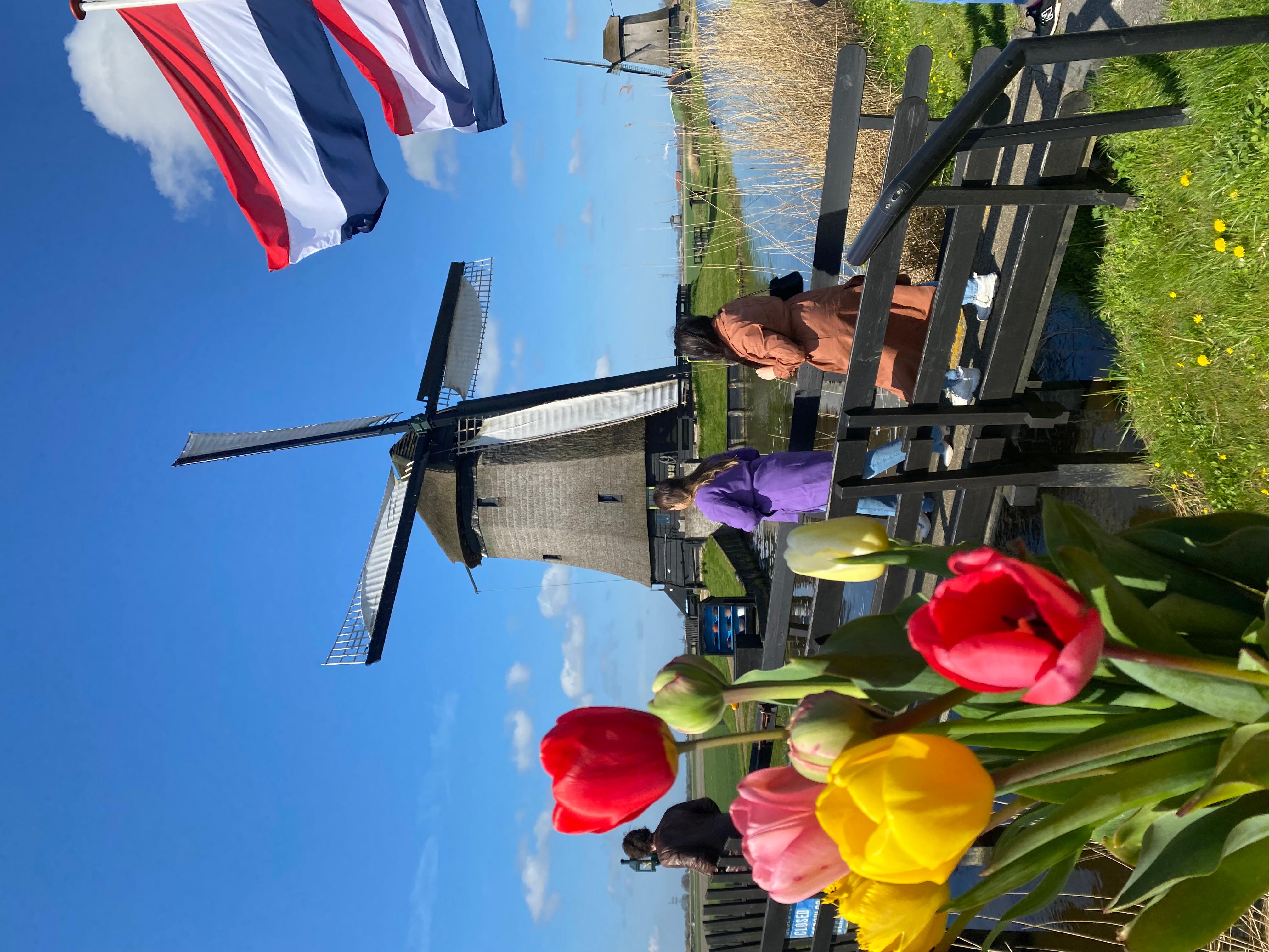 Amsterdam: Early tour, Windmill & Cheese Tasting Small Group – Amsterdam, Netherlands