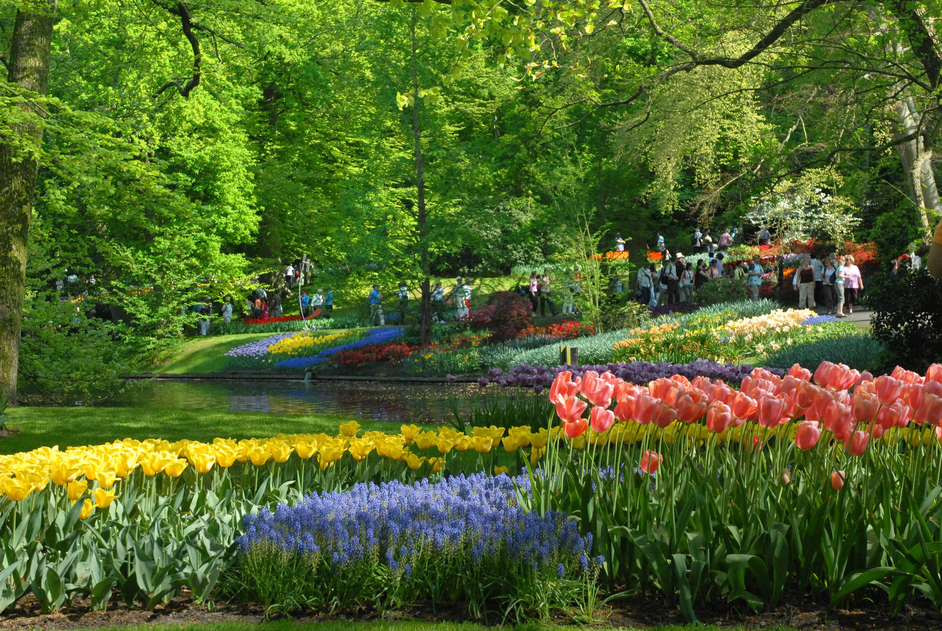 Amsterdam: Half-Day Keukenhof Guided Tour with Entrance – Lisse, Netherlands