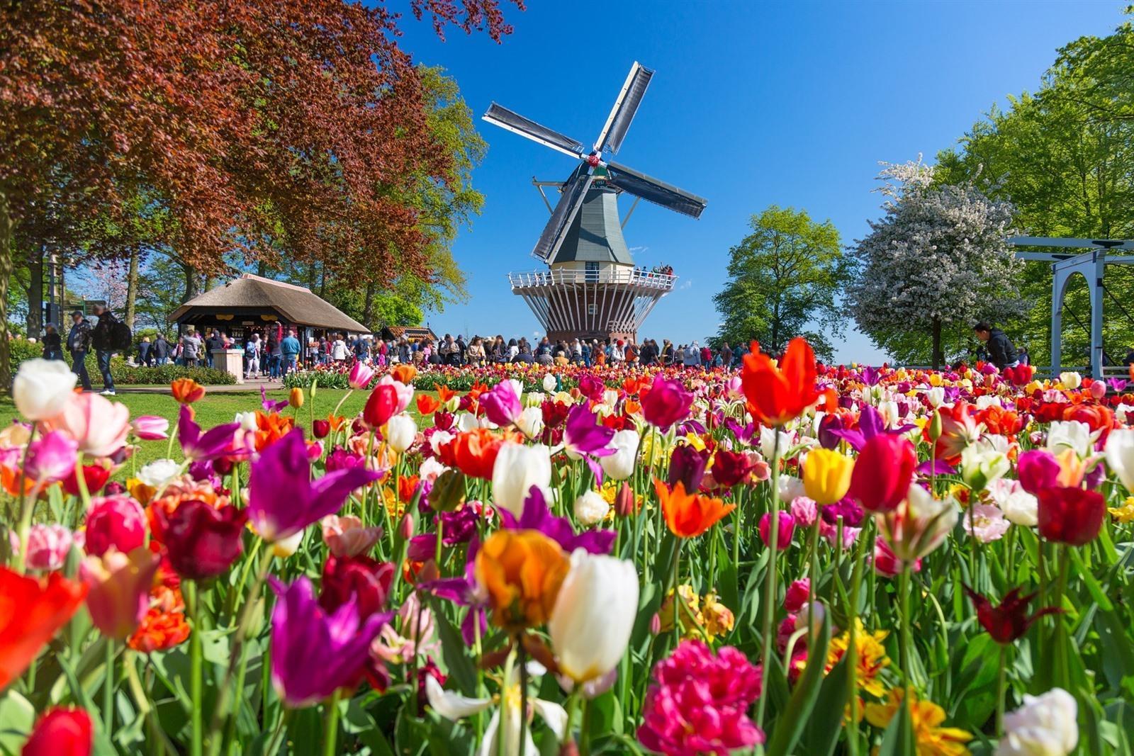 Amsterdam: Keukenhof Entry & Shuttlebus with Flexible Return – Lisse, Netherlands
