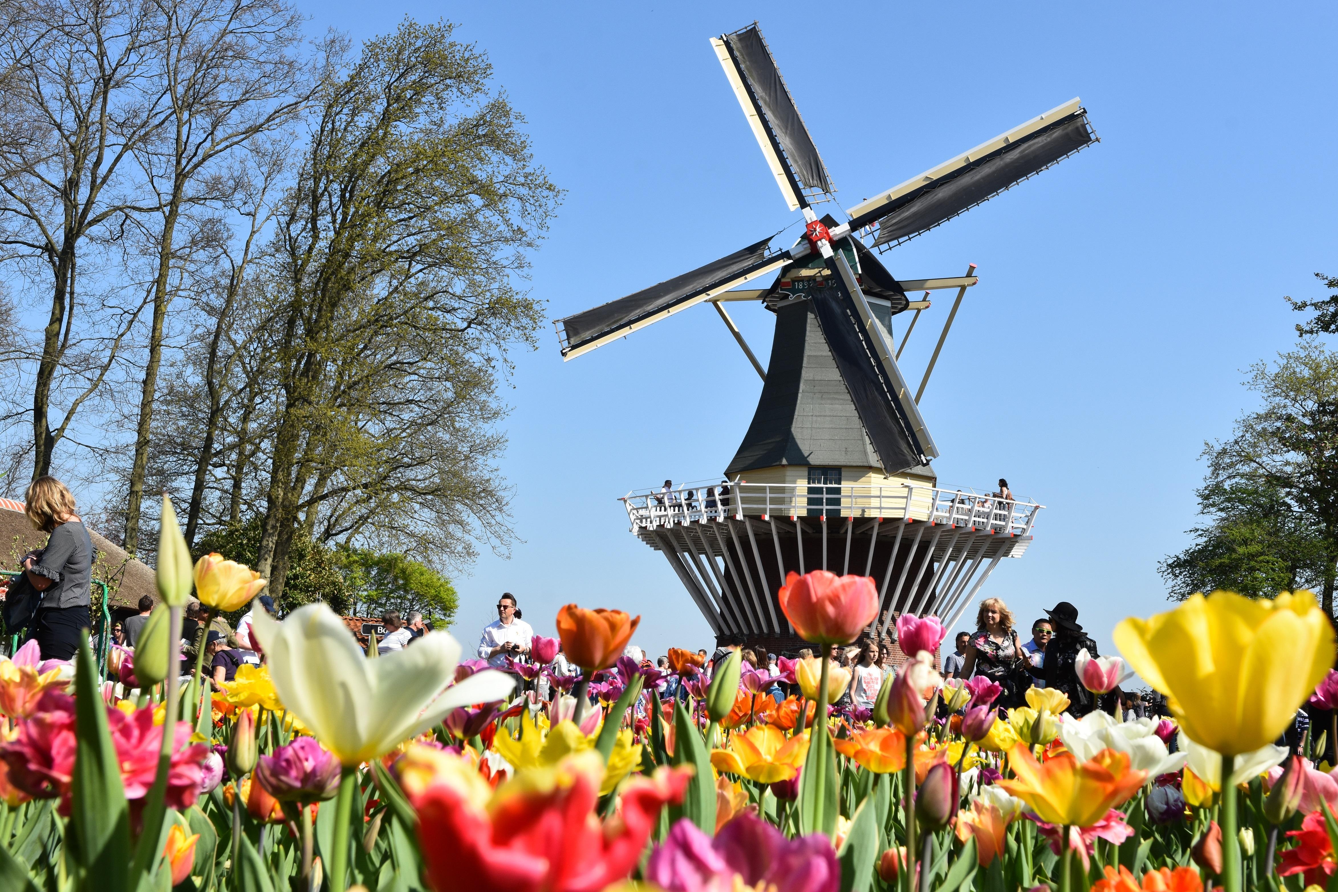 Amsterdam: Keukenhof Gardens Half Day Guided Tour – Lisse, Netherlands