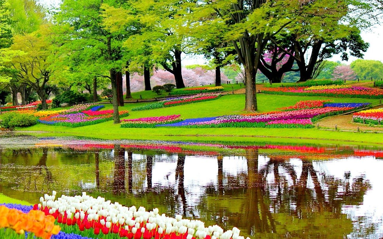 Amsterdam: Keukenhof Gardens Private Sightseeing Tour – Lisse, Netherlands
