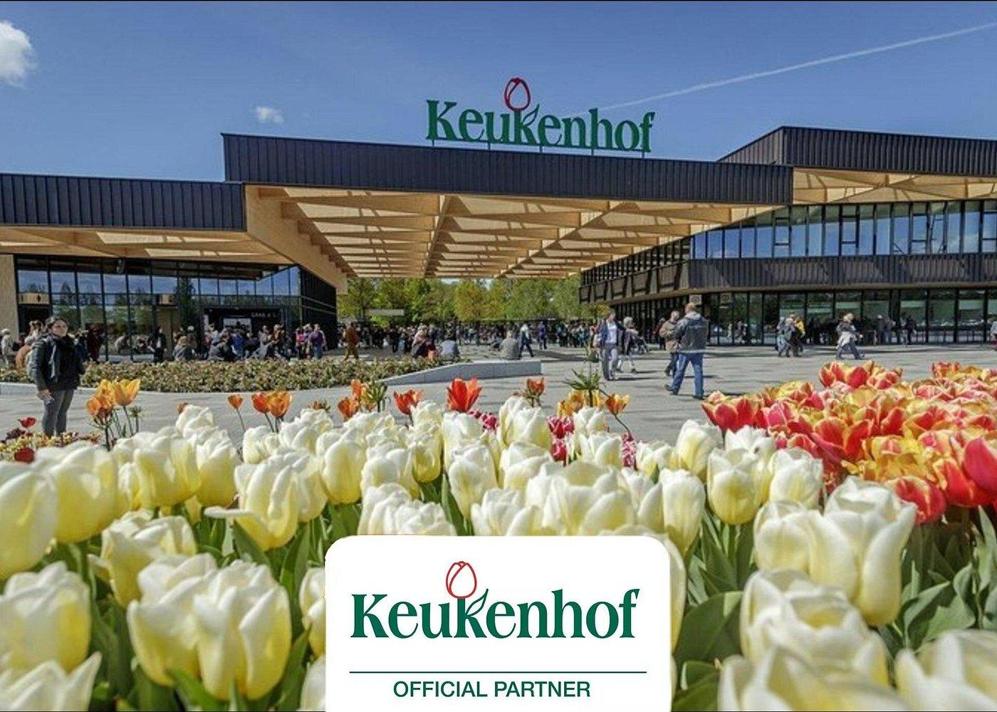 Amsterdam: Keukenhof Gardens & Tulip Fields Private Tour – Lisse, Netherlands