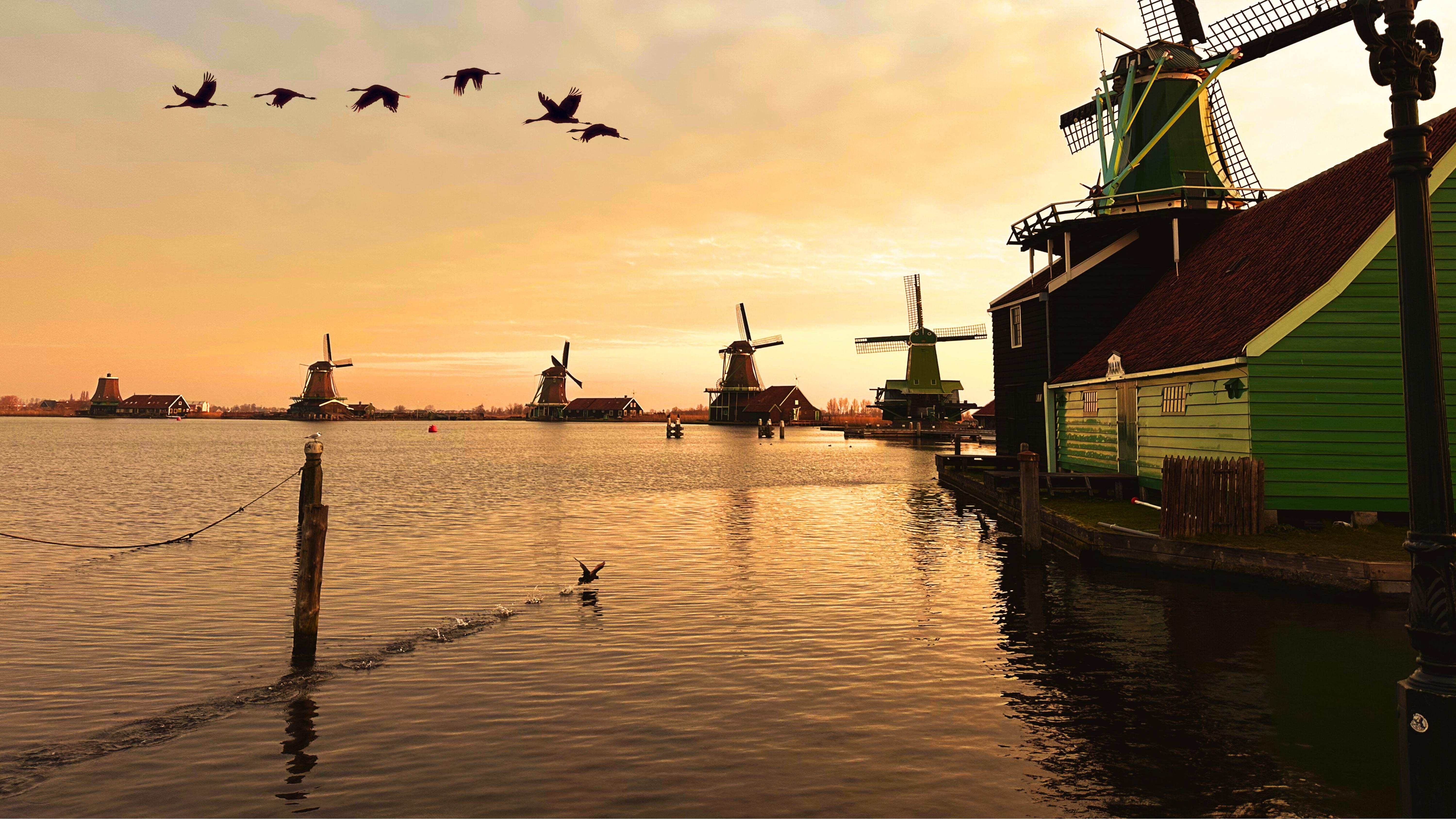 Amsterdam : Private Tour Zaanse Schans – Zaandam, Netherlands