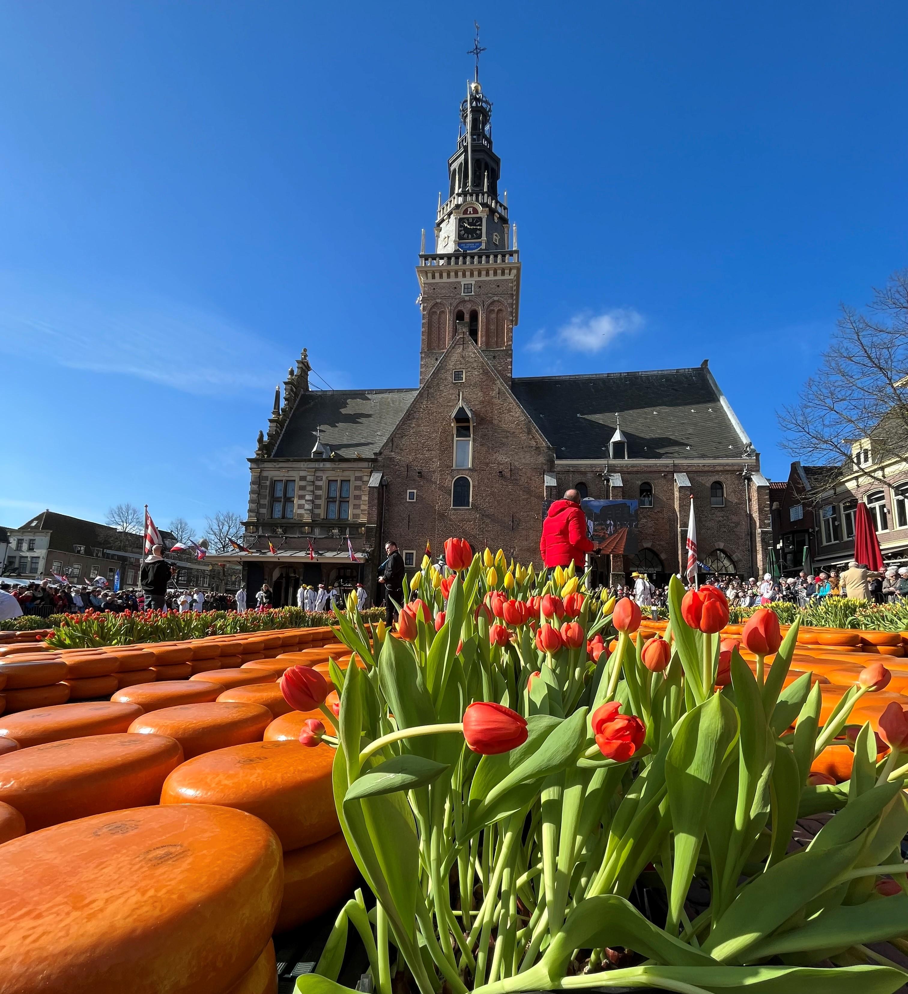 Amsterdam: Traditional Cheese Market Tour to Alkmaar – Alkmaar, Netherlands