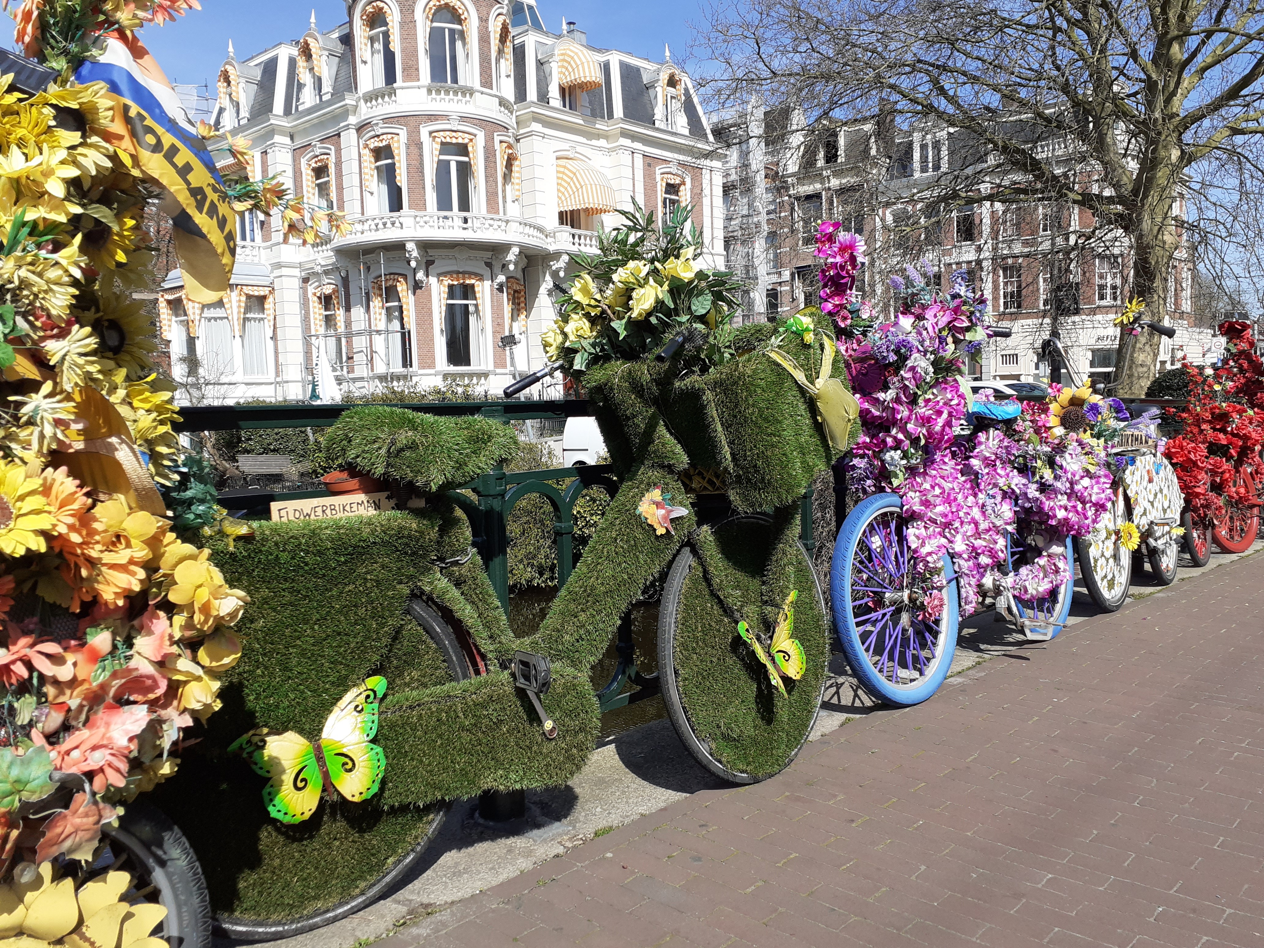 Amsterdam Walking Tour and Canal Cruise – Amsterdam, Netherlands