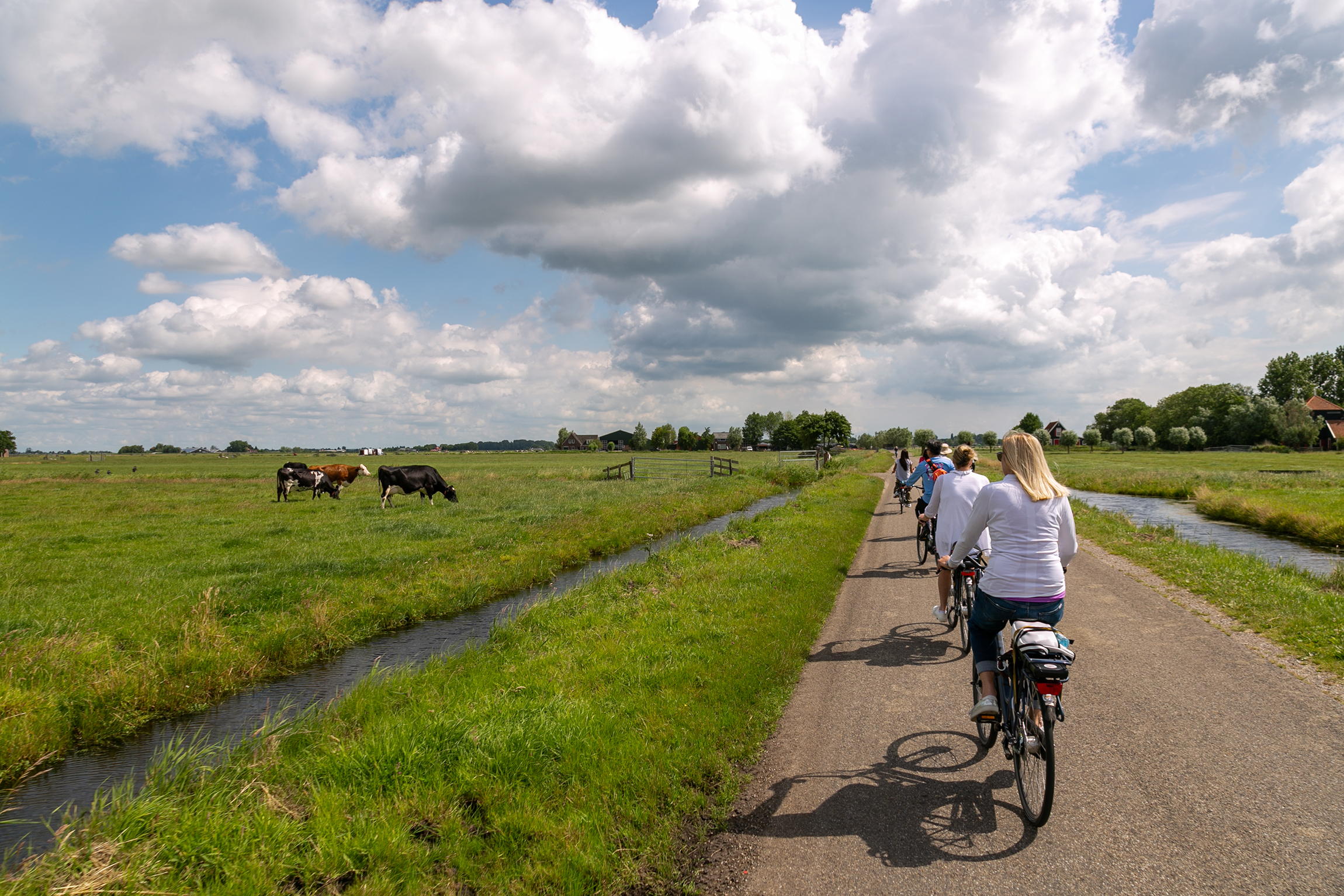 Amsterdam: Windmill, Cheese, and Countryside E-Bike Tour – Amsterdam, Netherlands