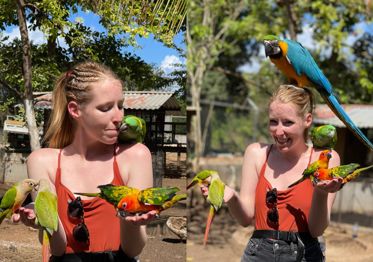 Animal & Bird Farm with Private Transport – Rocklands Bird Sanctuary, Jamaica