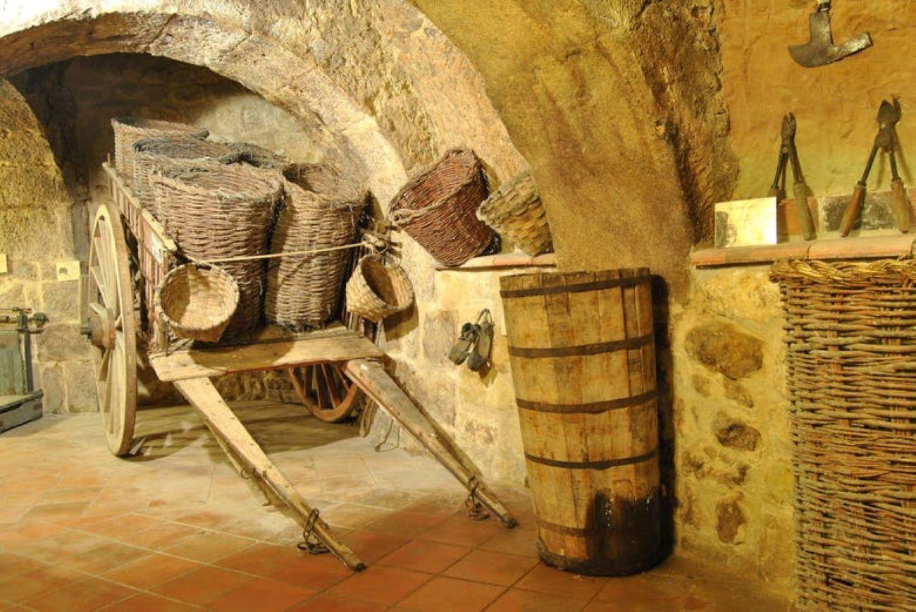 Aranda de Duero: Tour of Underground Cellar and Wine Museum – Aranda de Duero, Spain