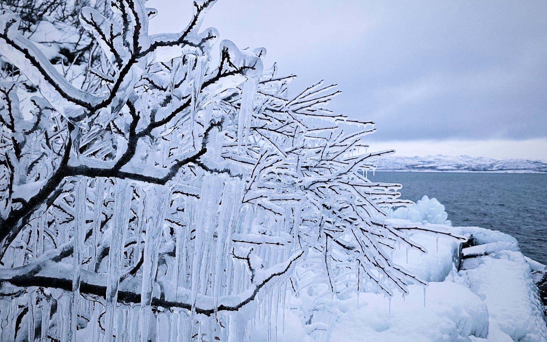 Arctic Morning – Snowshoe Experience (Private tour) – Abisko National Park, Sweden