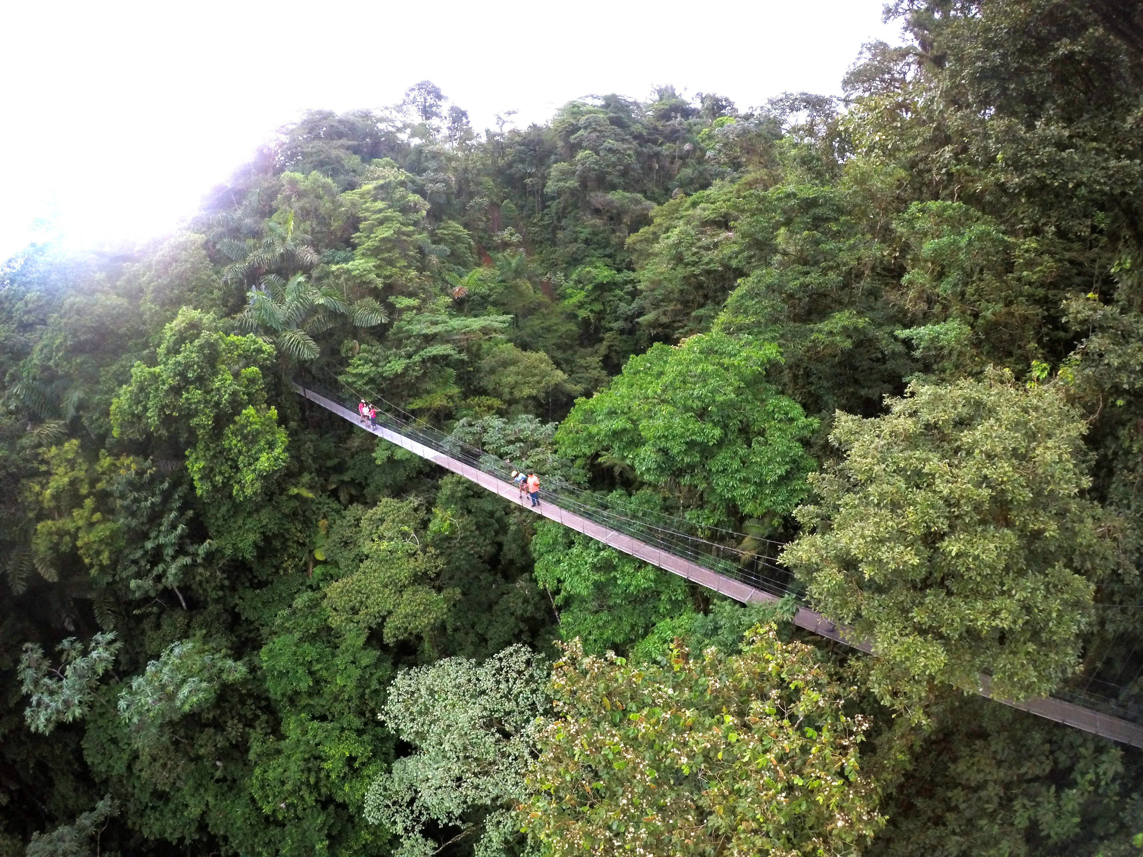 Arenal Hanging Bridges Half-Day Tour from La Fortuna – La Fortuna, Costa Rica