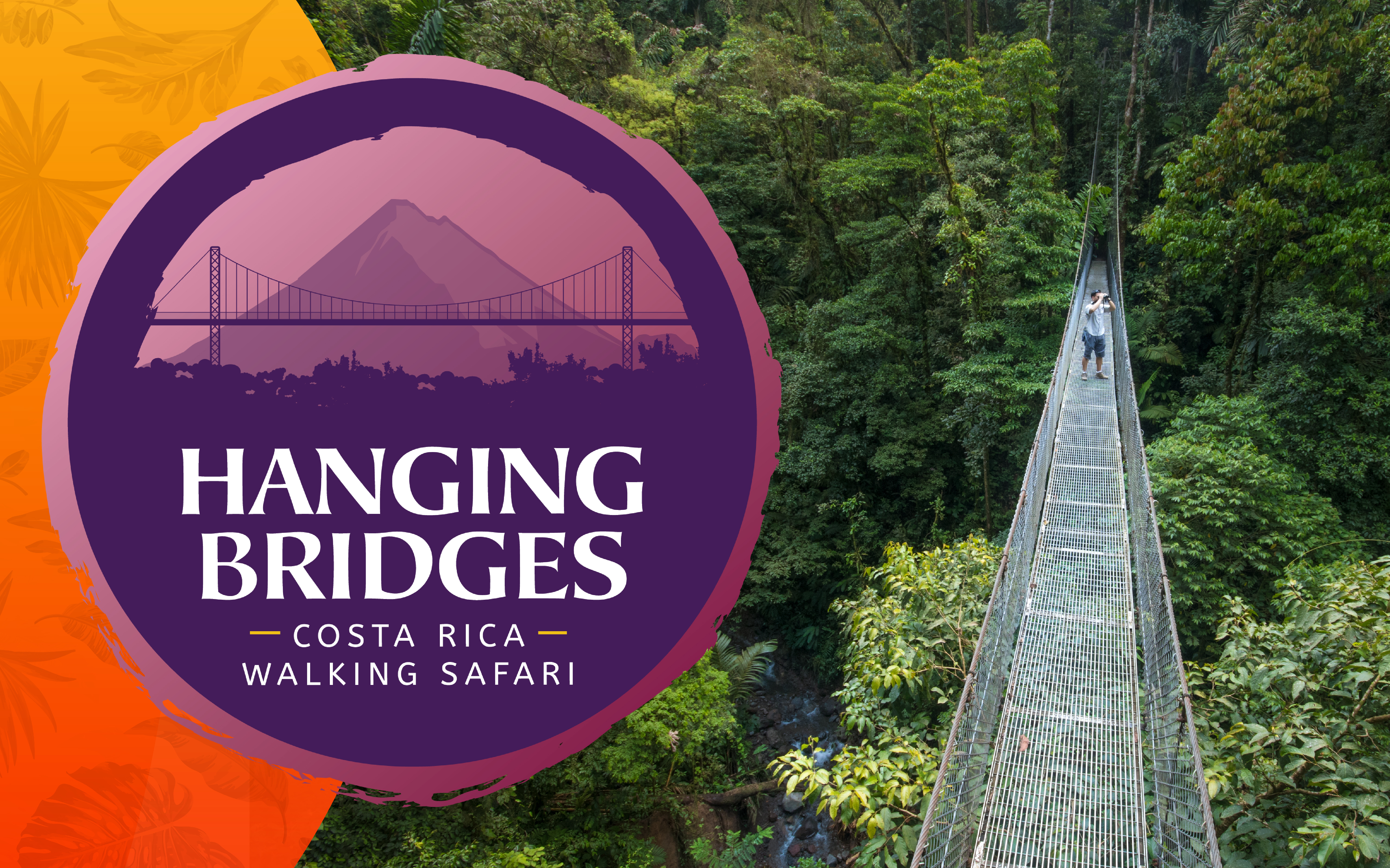 Arenal National Park: Hanging Bridges Small Group Tour – Mistico Arenal Hanging Bridges Park, Costa Rica