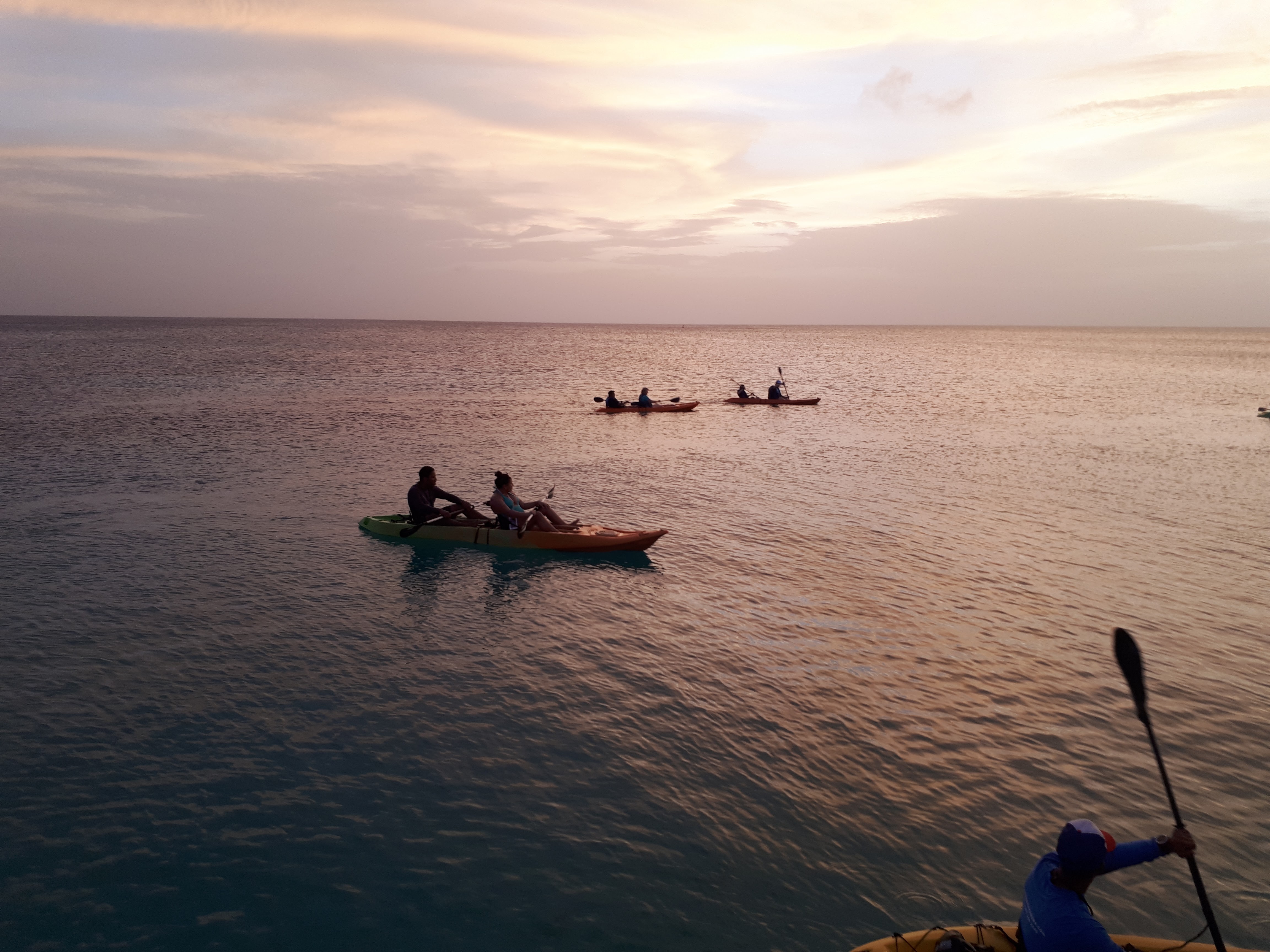 Aruba: Clear-bottom Kayak Guided Night Tour on Arashi Beach – Aruba