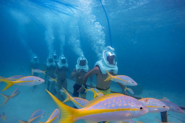 Aruba: De Palm Island Day Trip – Aruba