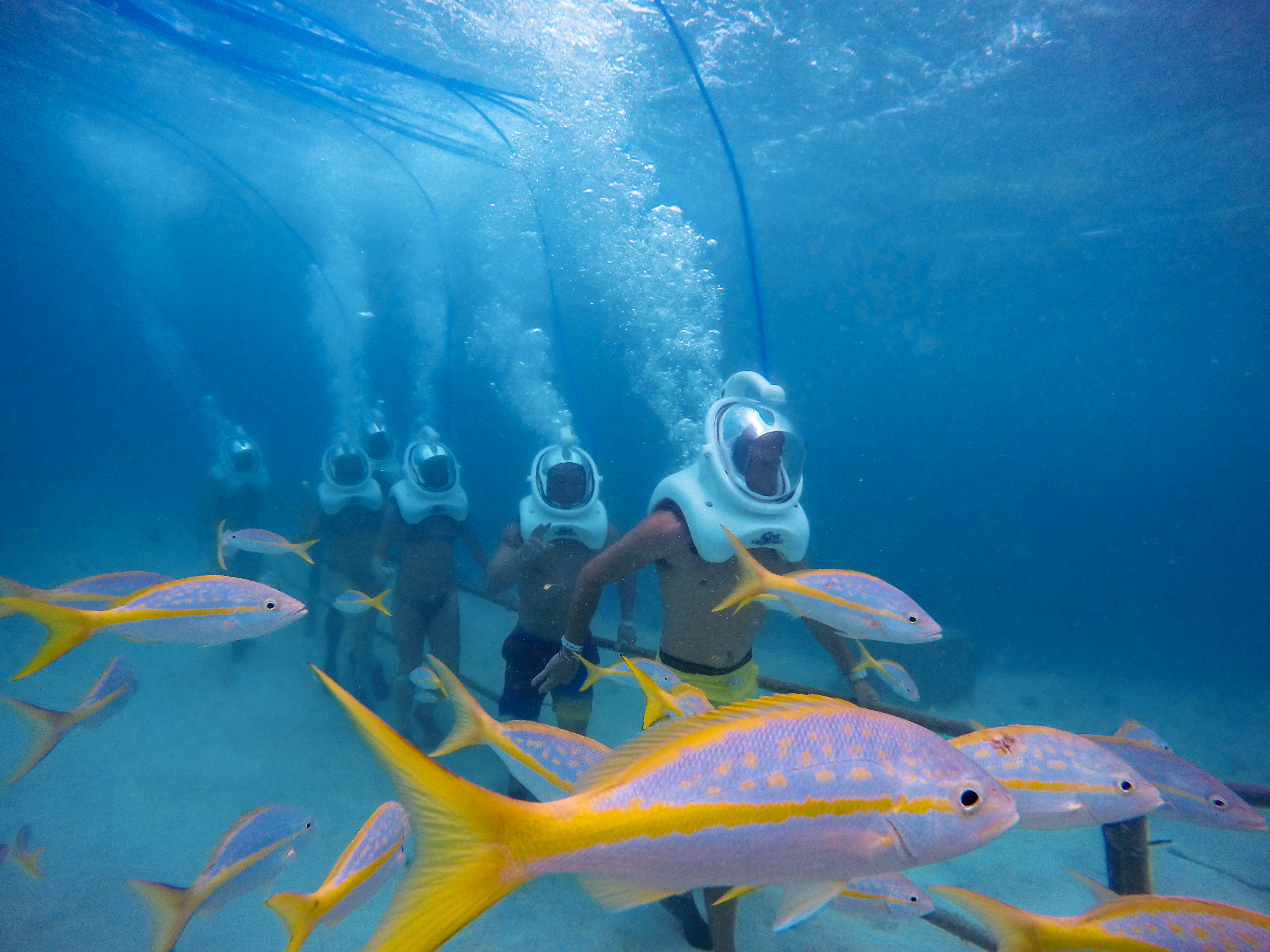 Aruba: De Palm Island Day Trip – Aruba