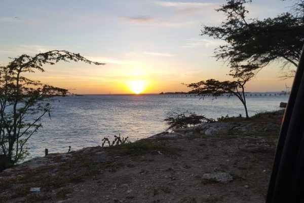 Aruba: Full Day Island Tour with Local Guide – Aruba