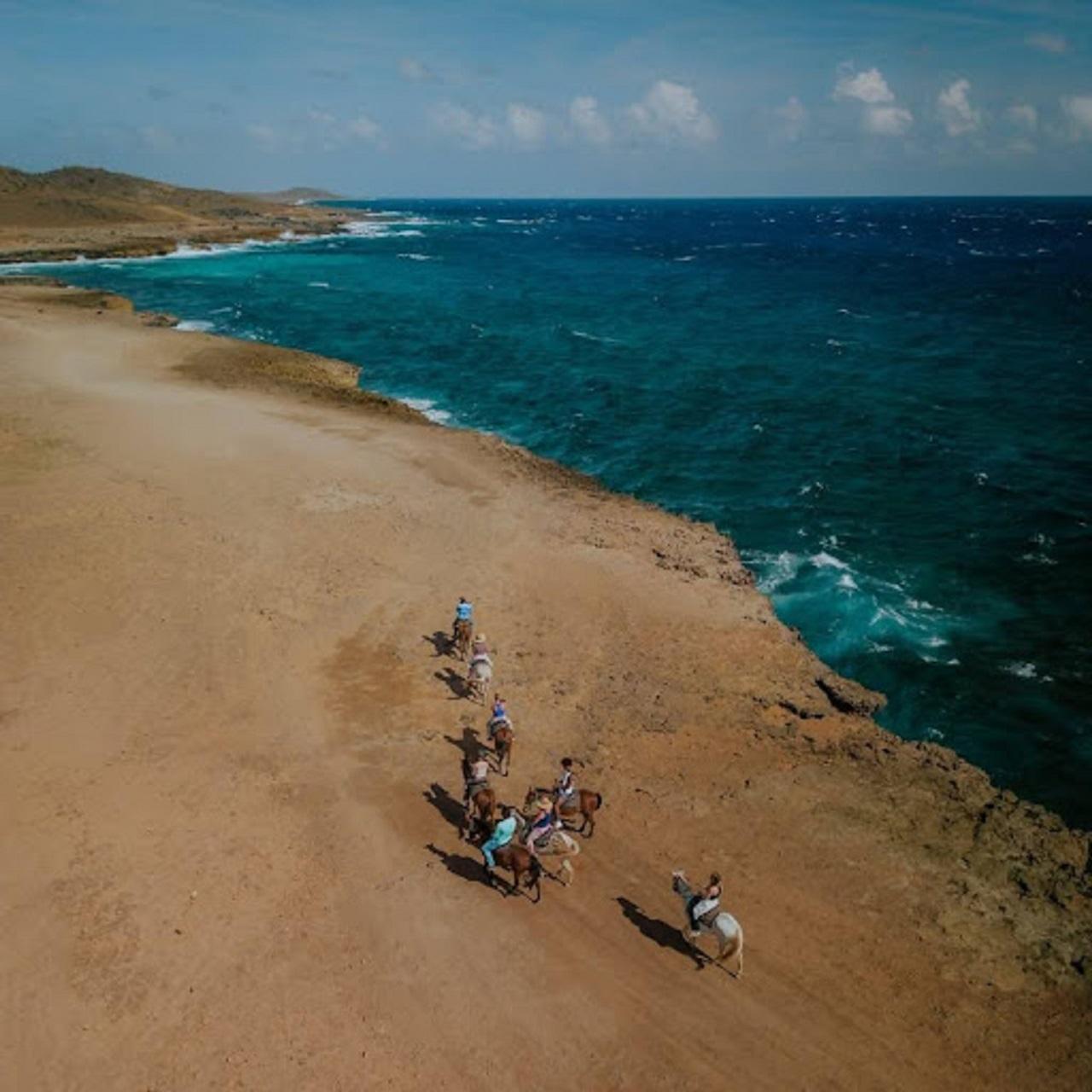 Aruba: Horseback Morning Tour and Beach Ride – Aruba