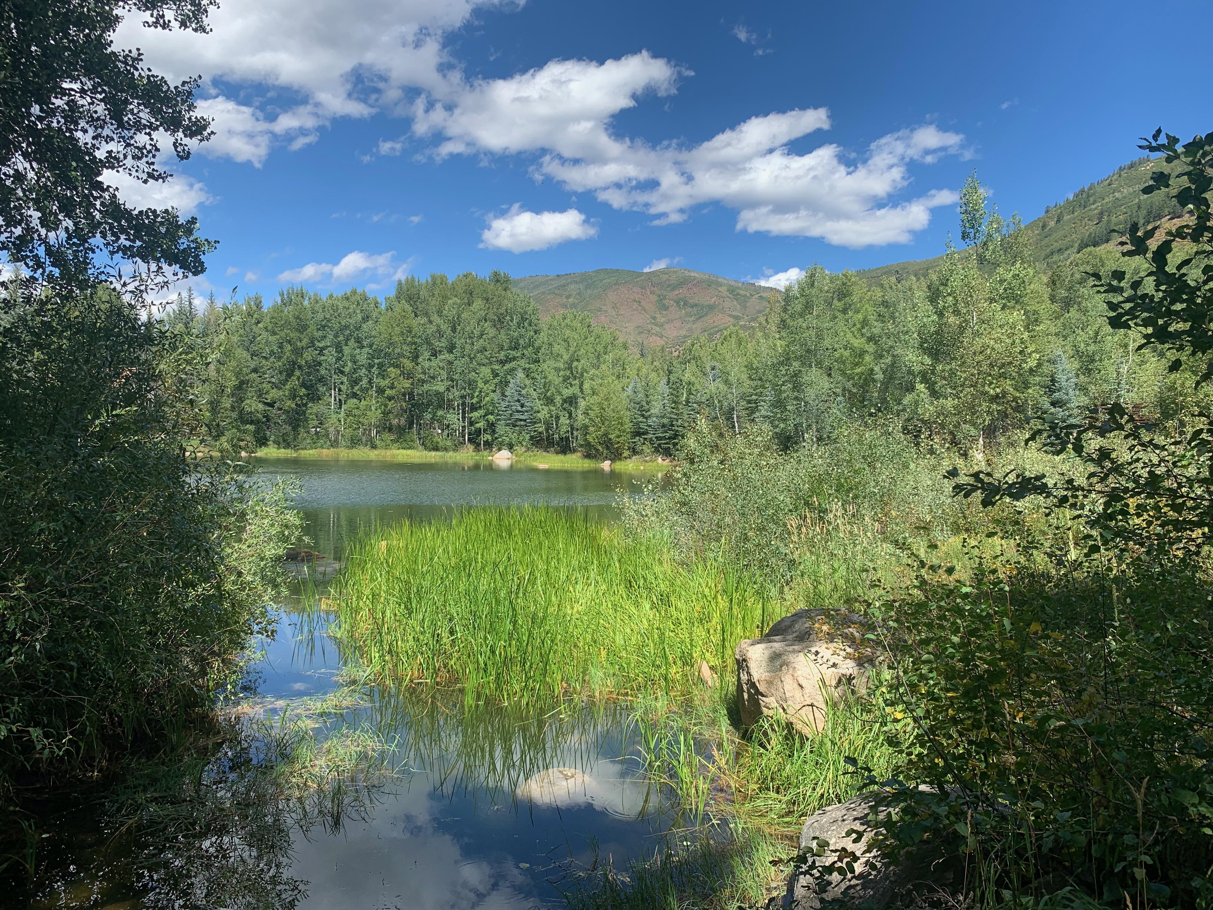 Aspen: Guided Light Hike with Roaring Fork River Views – Smuggler Mine, Colorado