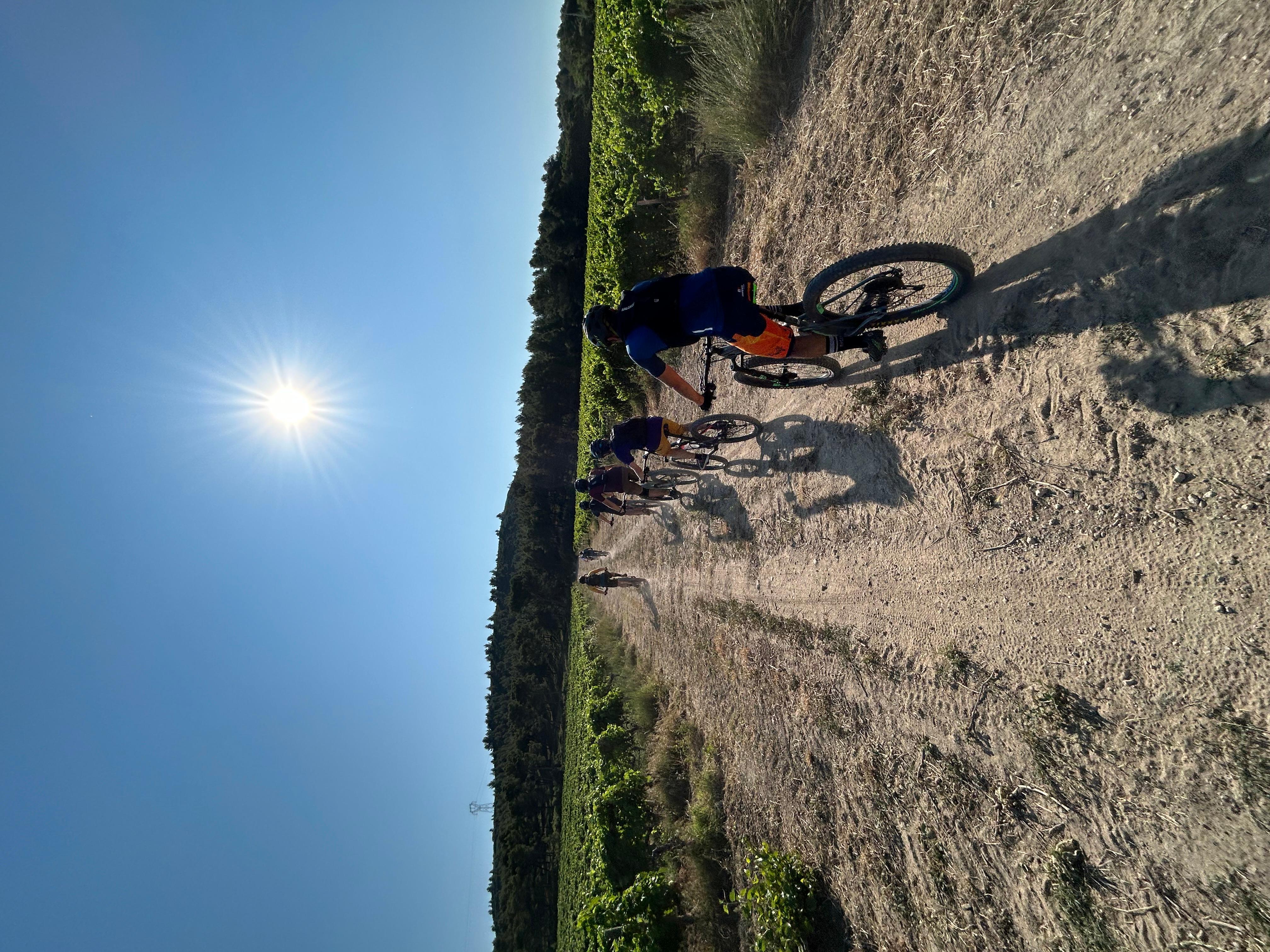 Aureille: Les Civadières, Roquemartine, and Les Opies by bike – Saint-Rémy-de-Provence, France