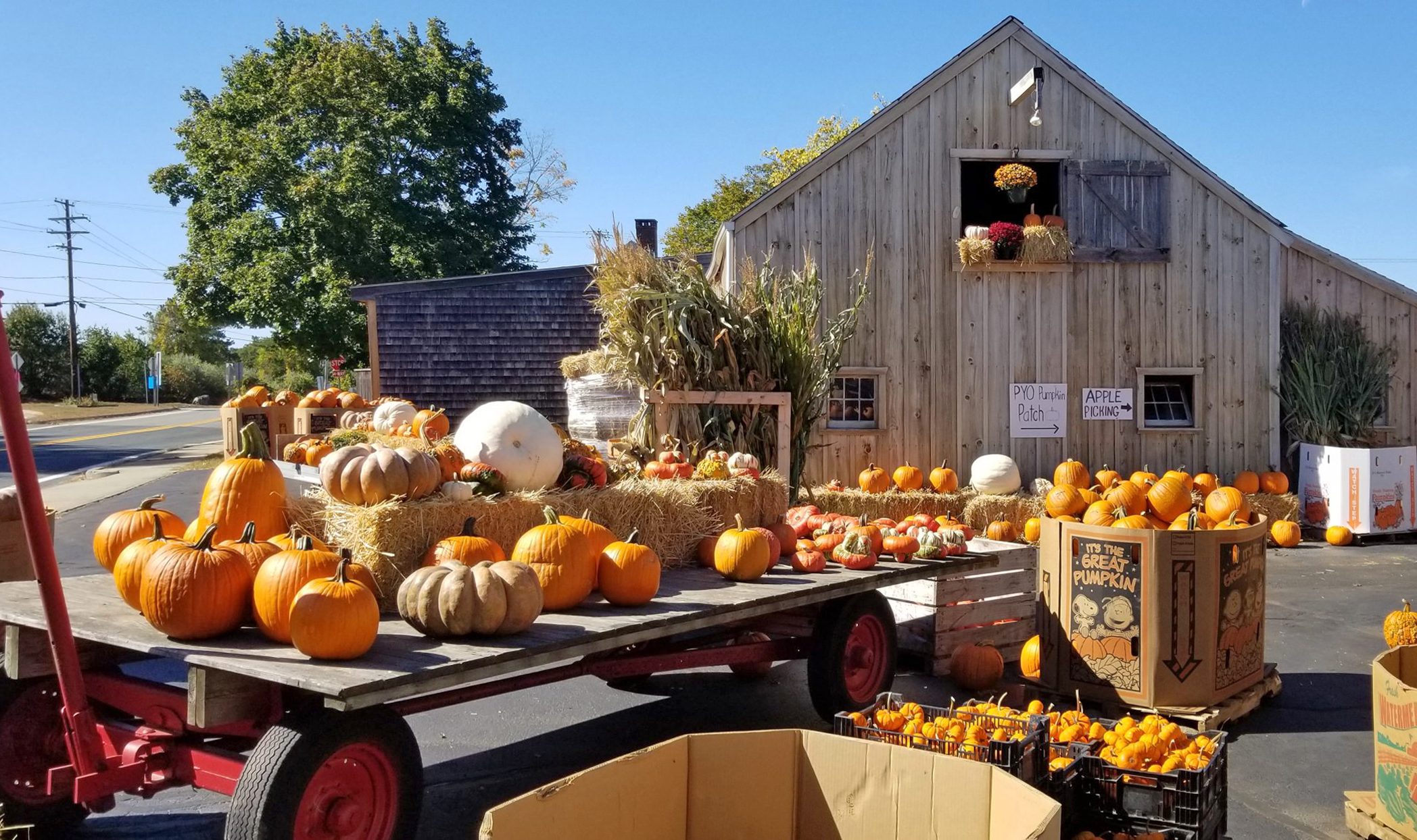 Autumn in New England – Providence, Rhode Island