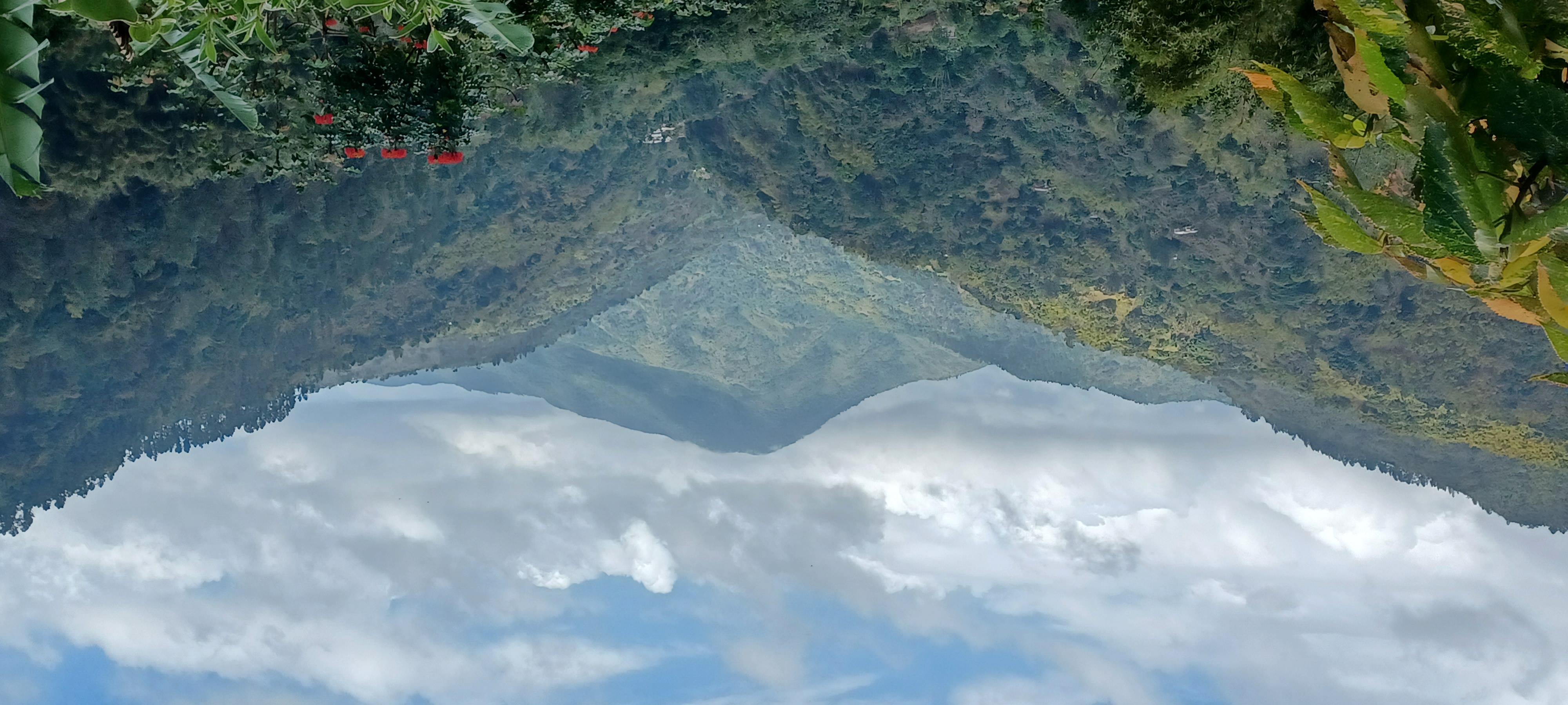 BLUE MOUNTAIN TOUR FROM OCHO RIOS – Blue Mountains, Jamaica