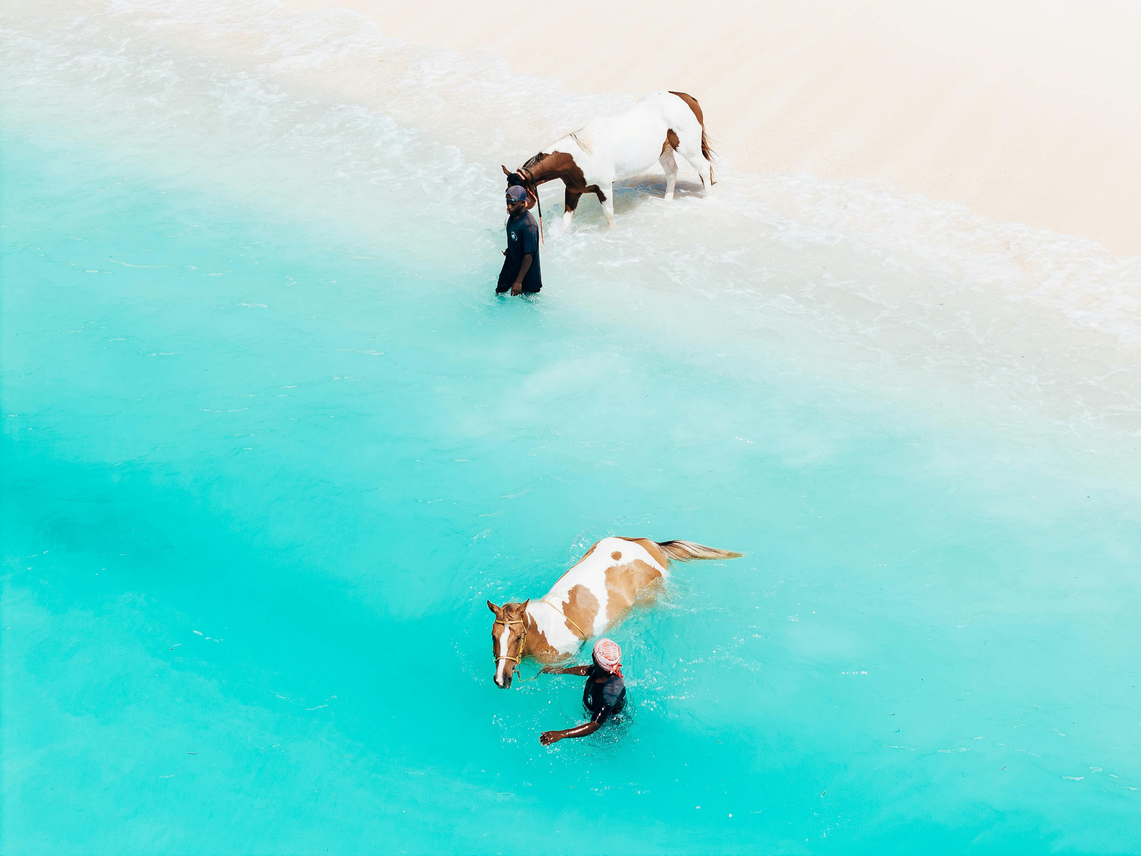 Bahamas: Horseback Riding Adventure on Beaches & Trails – Nassau, Bahamas