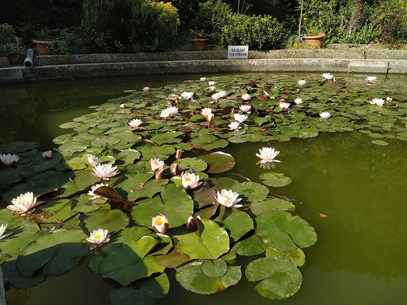 Baku: Fauna and Flora Tour – Azerbaijan