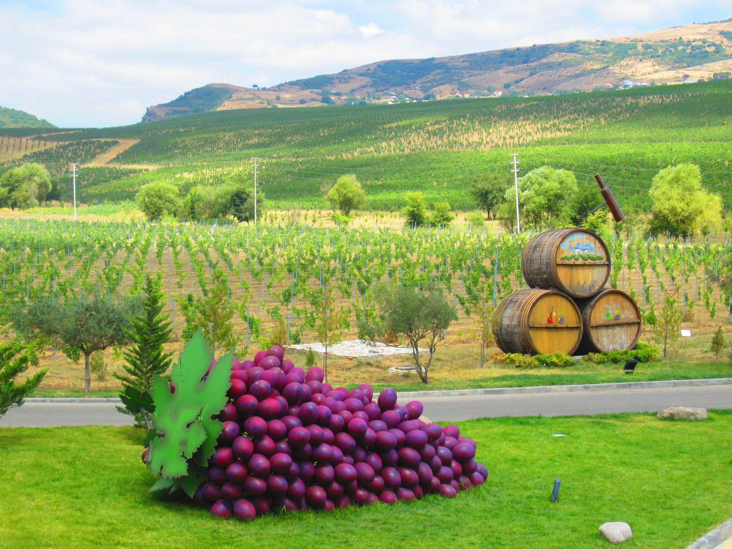 Baku: Organic Winery Tour in Shamakhi with Local Lunch – Azerbaijan