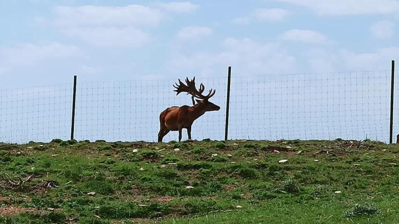 Baku: Shamakhi Safari Tour with Local Lunch – Azerbaijan