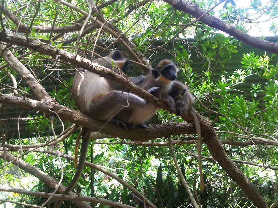 Barbados: 4 Hour Private Customized Island Tour – Barbados